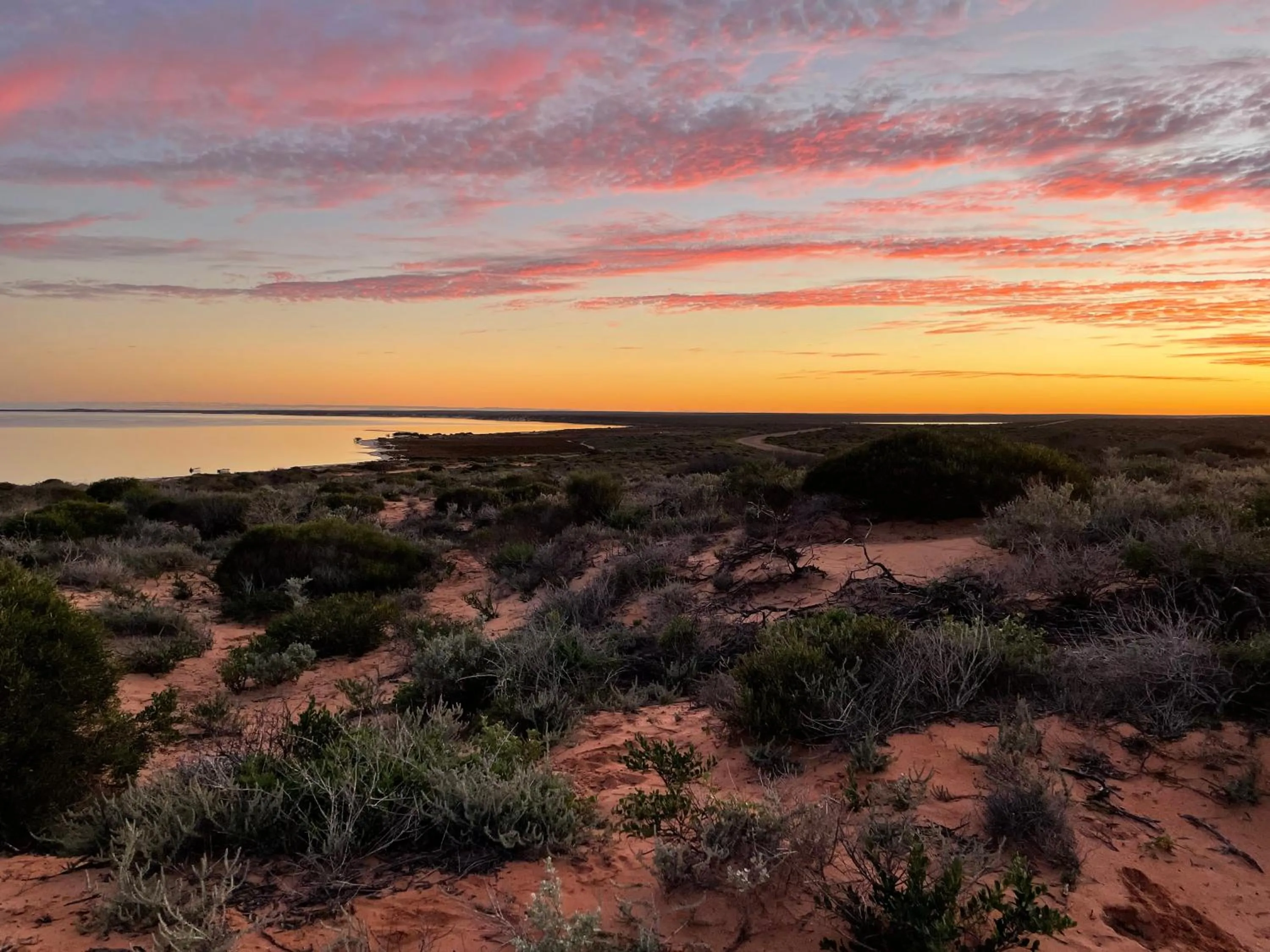 Natural landscape in Shark Bay Seafront Apartments