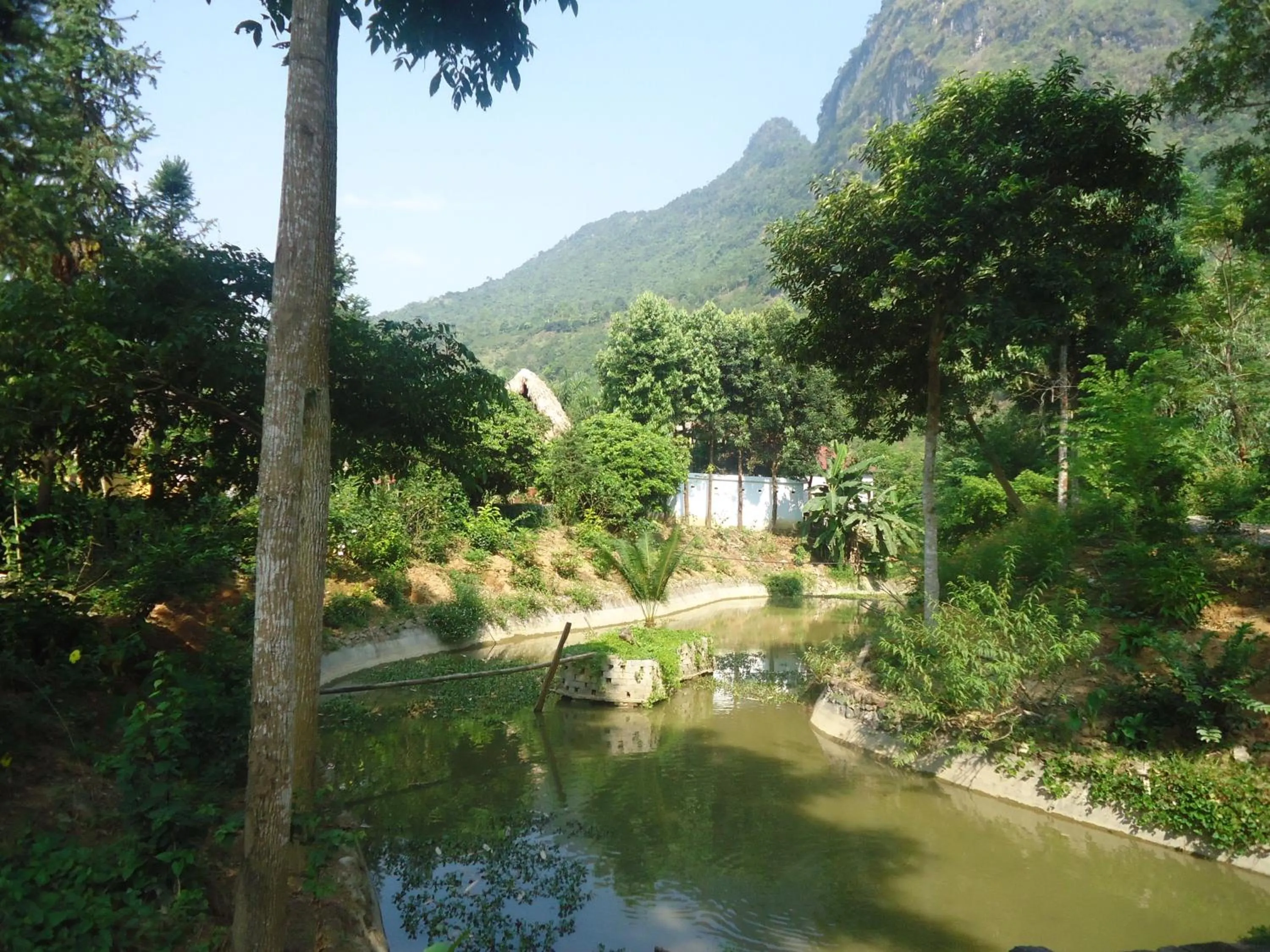 Natural landscape in Truong Xuan Ecology