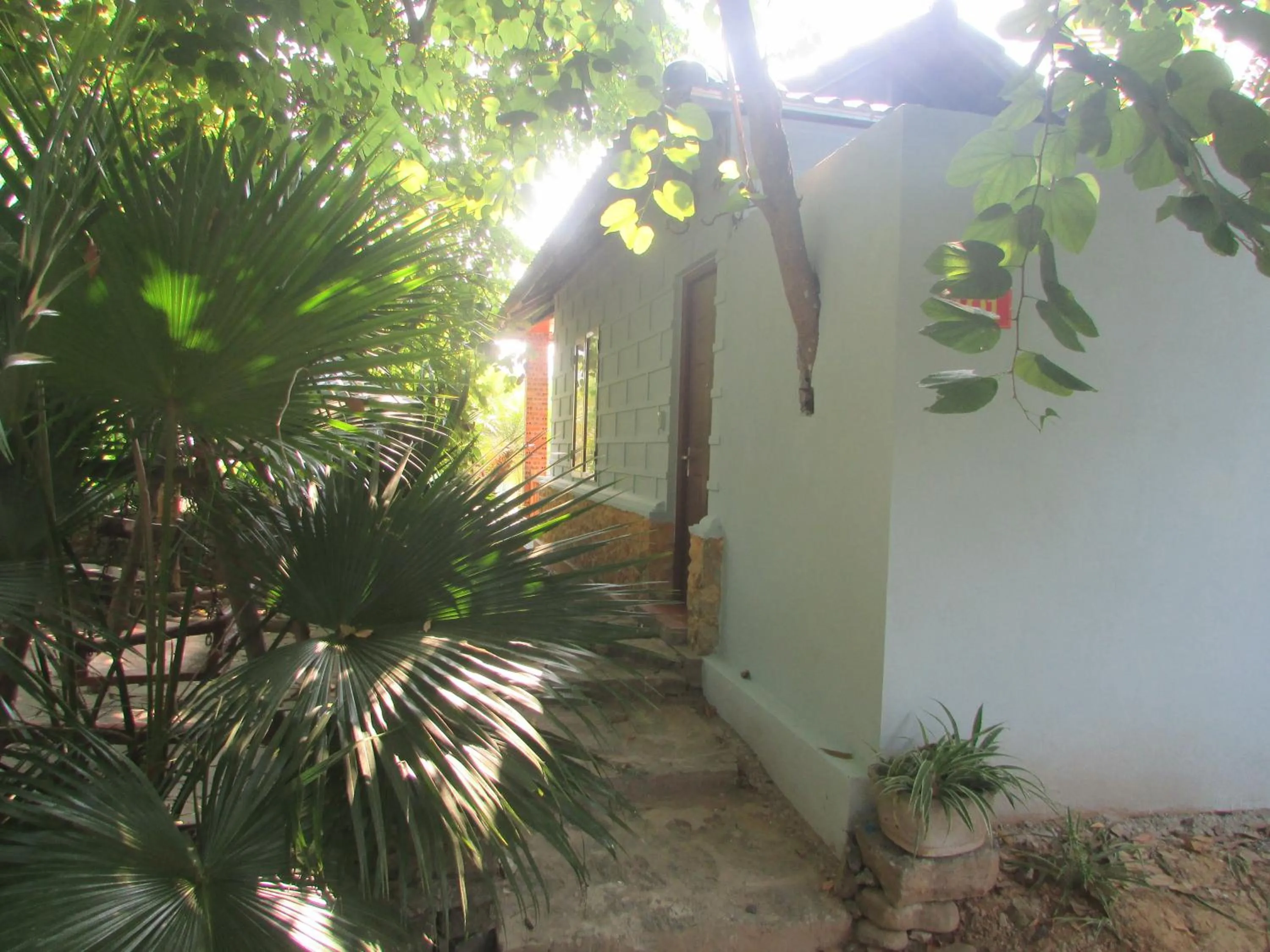 Photo of the whole room in Truong Xuan Ecology