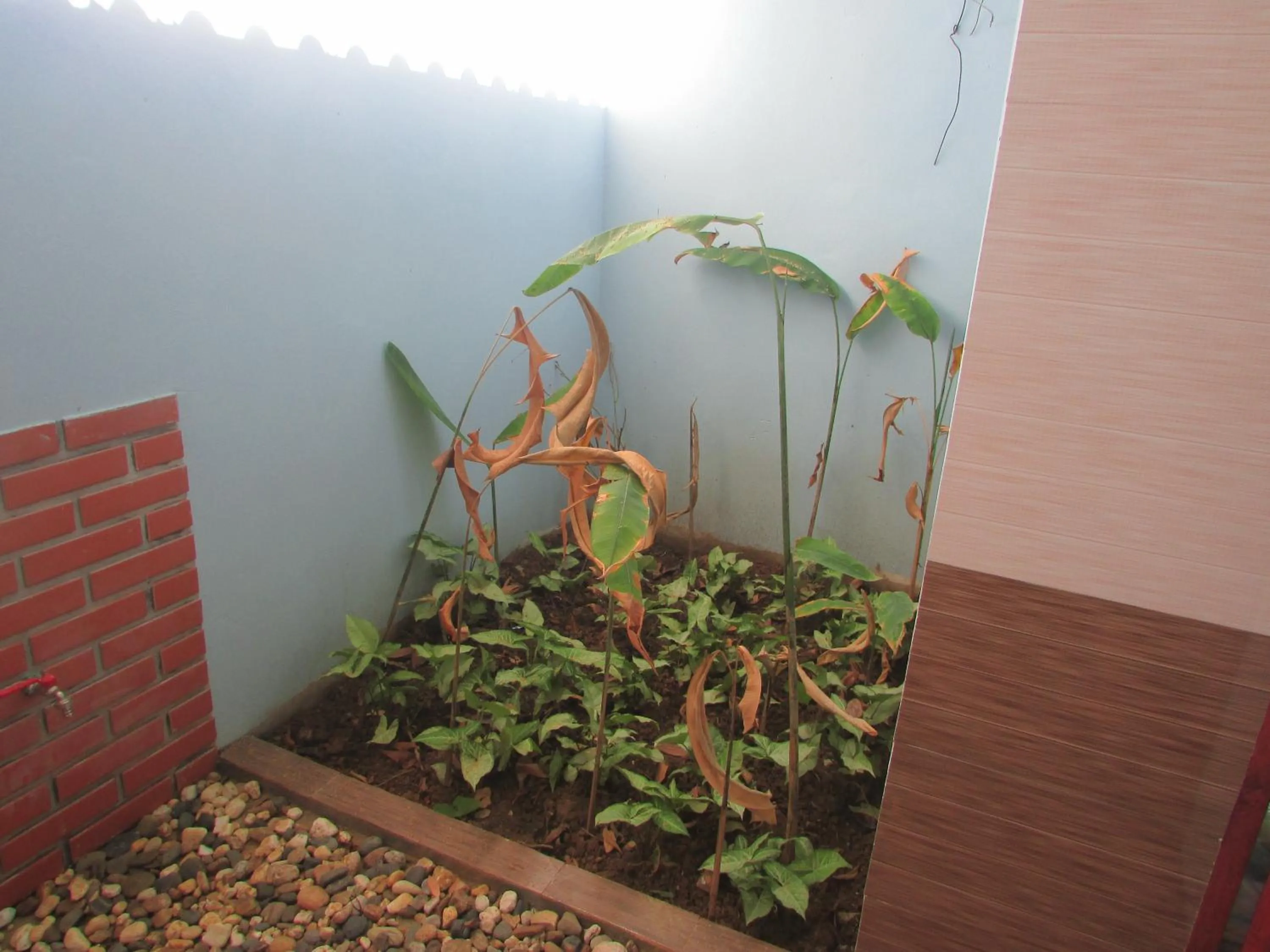 Bathroom in Truong Xuan Ecology