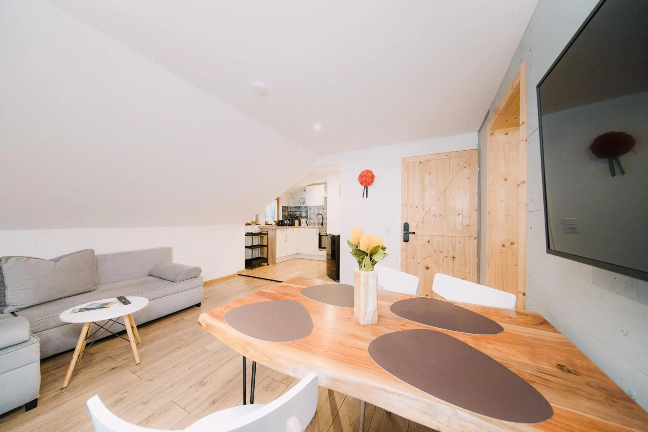 TV and multimedia in Black Forest Dream Apartments