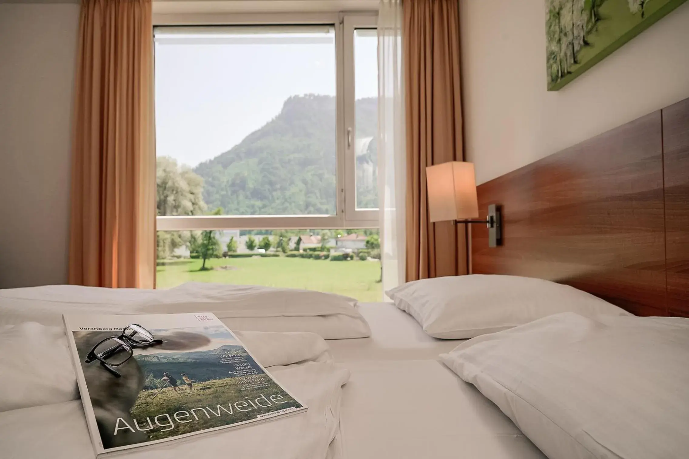 View (from property/room), Bed in Fairmotel Dornbirn View (from property/room), Bed in Fairmotel Dornbirn