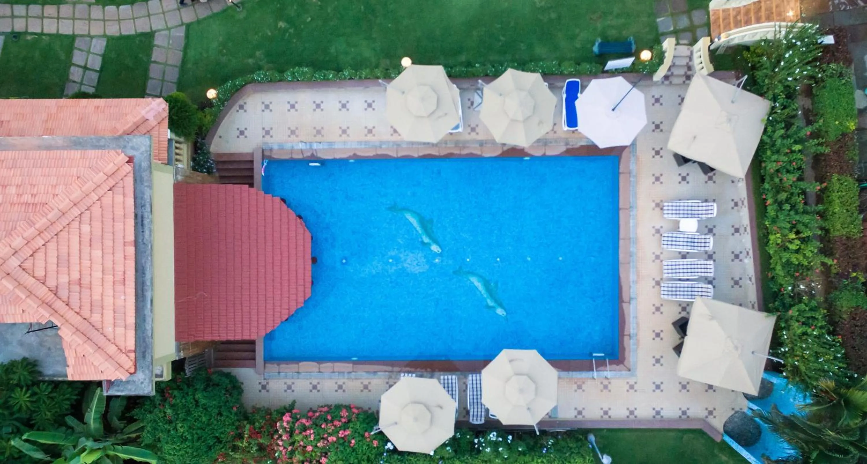 Bird's eye view in Cochichos Resort