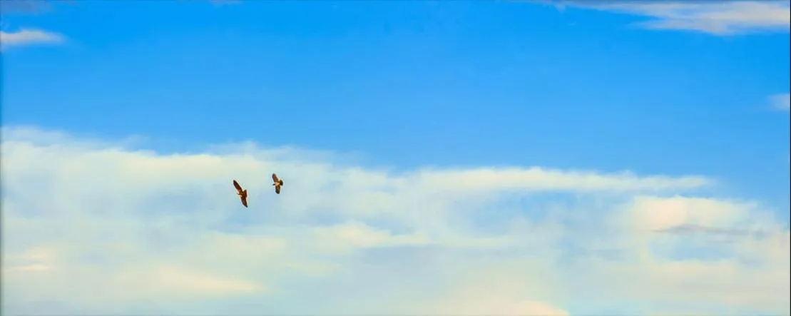 Natural landscape in Polys Guest House