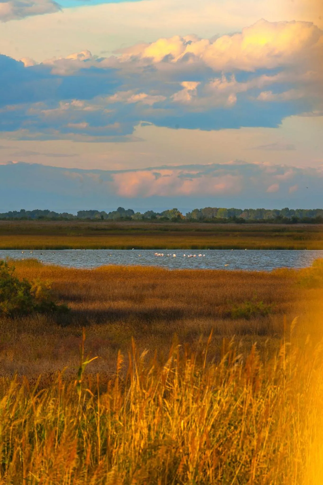 Aqua park in Polys Guest House