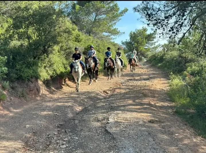 La Villa Du Menhir Chambre d'hôtes