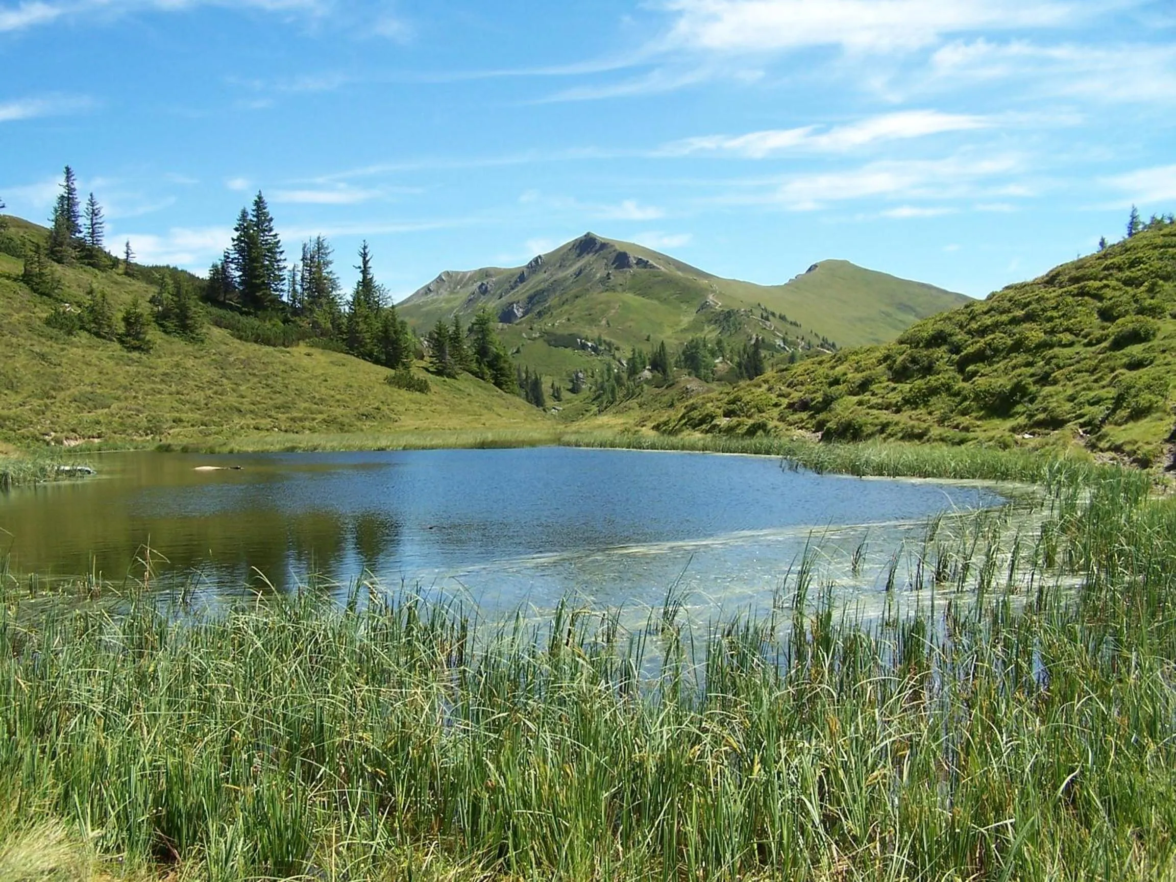 Area and facilities in Aktivhotel Alpendorf