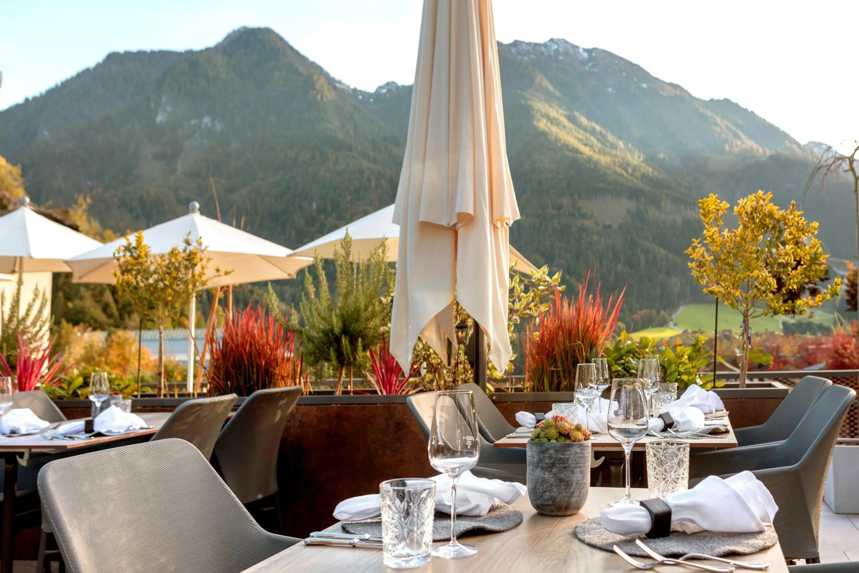 Balcony/Terrace in Aktivhotel Alpendorf