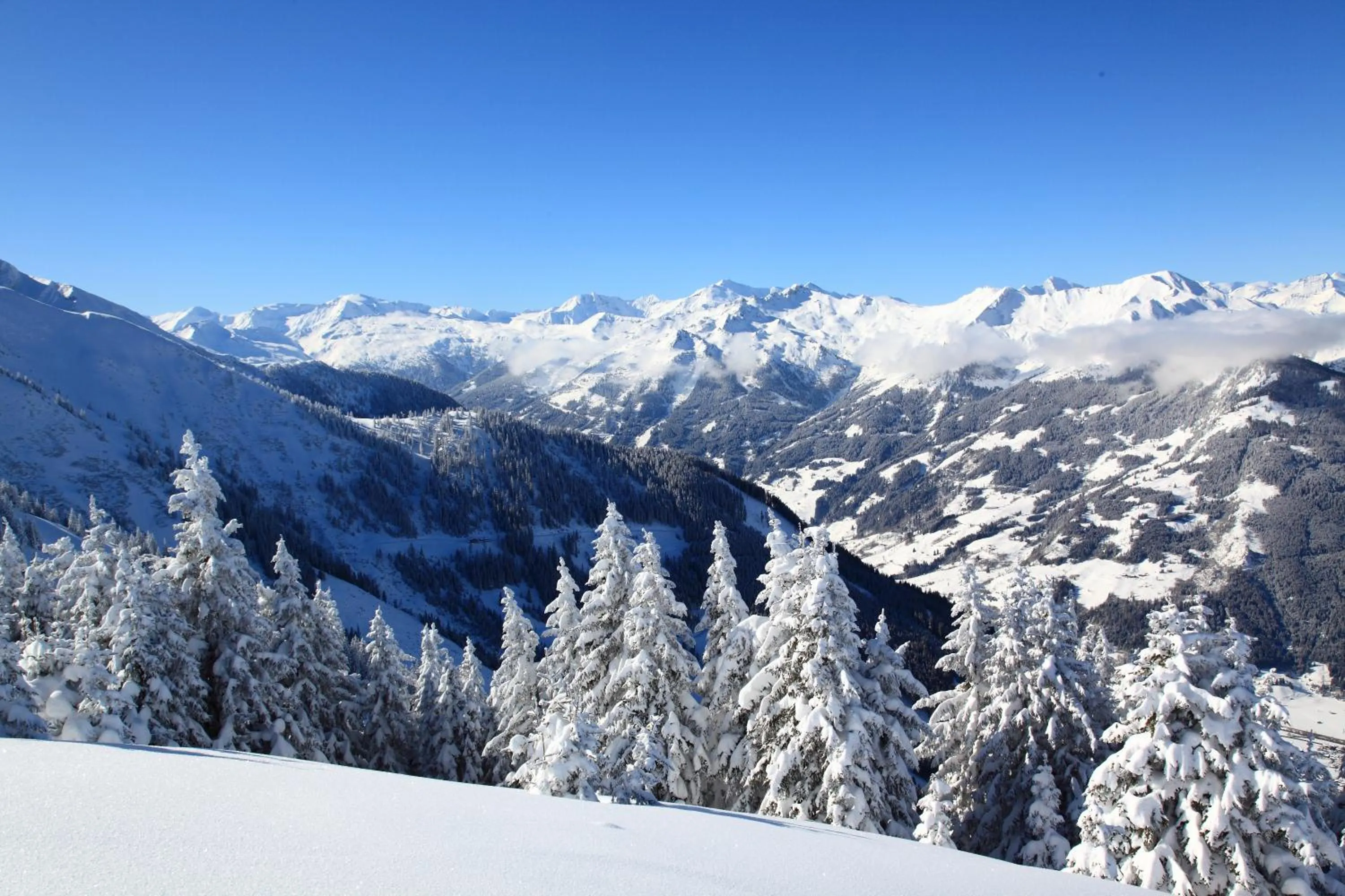 Skiing in Landhaus & Appartementhaus Haussteiner