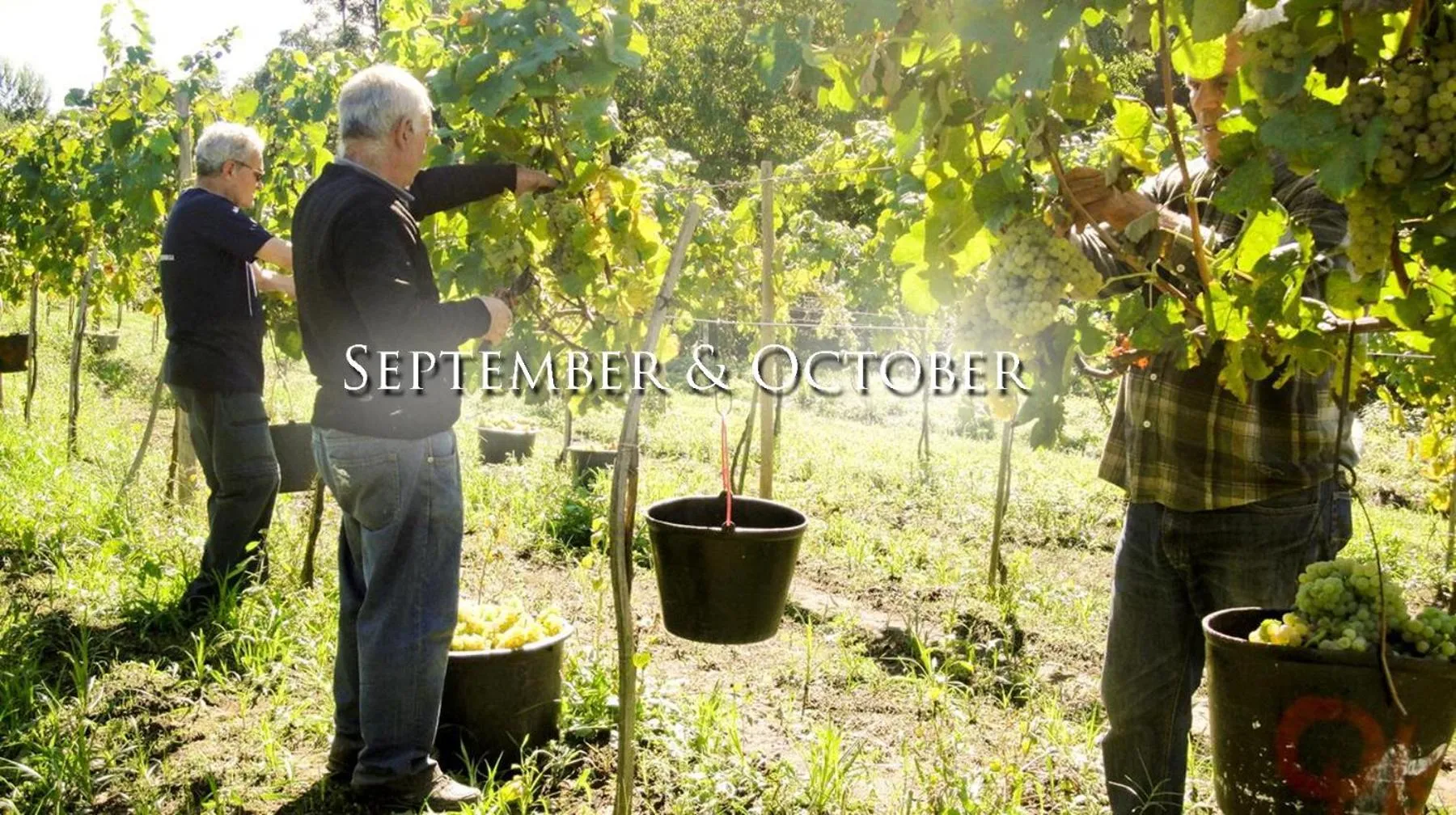 Activities in Quinta Da Longra