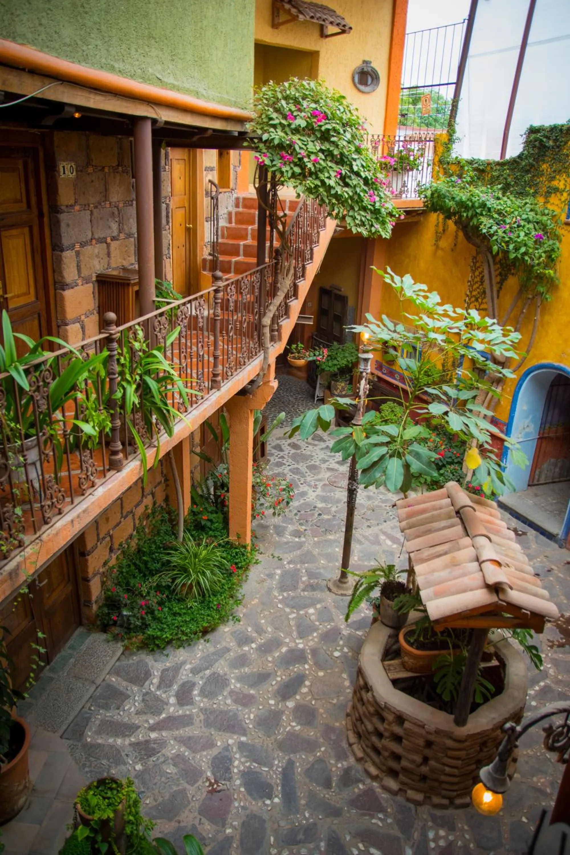 Garden in Hotel CasaMia