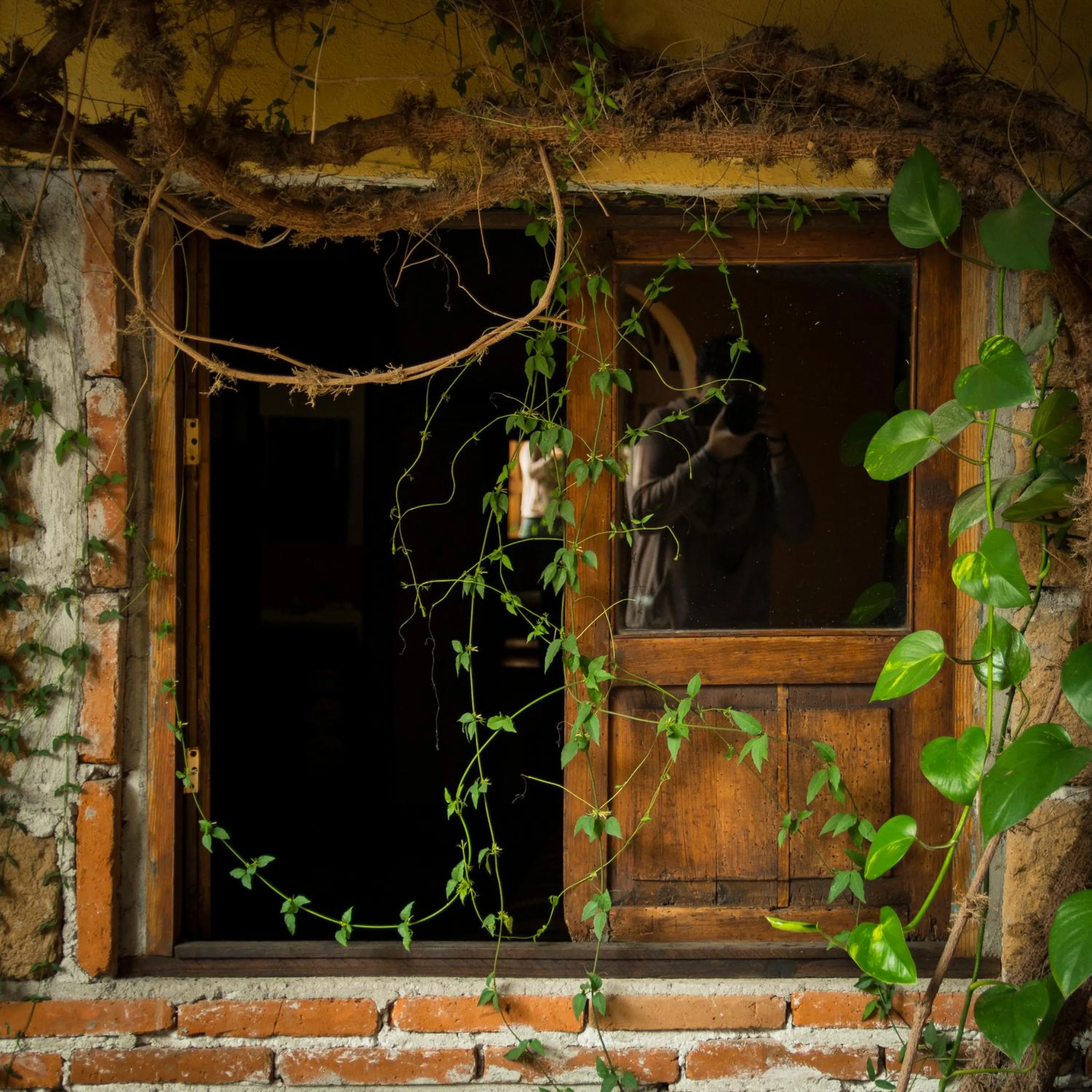 Garden in Hotel CasaMia