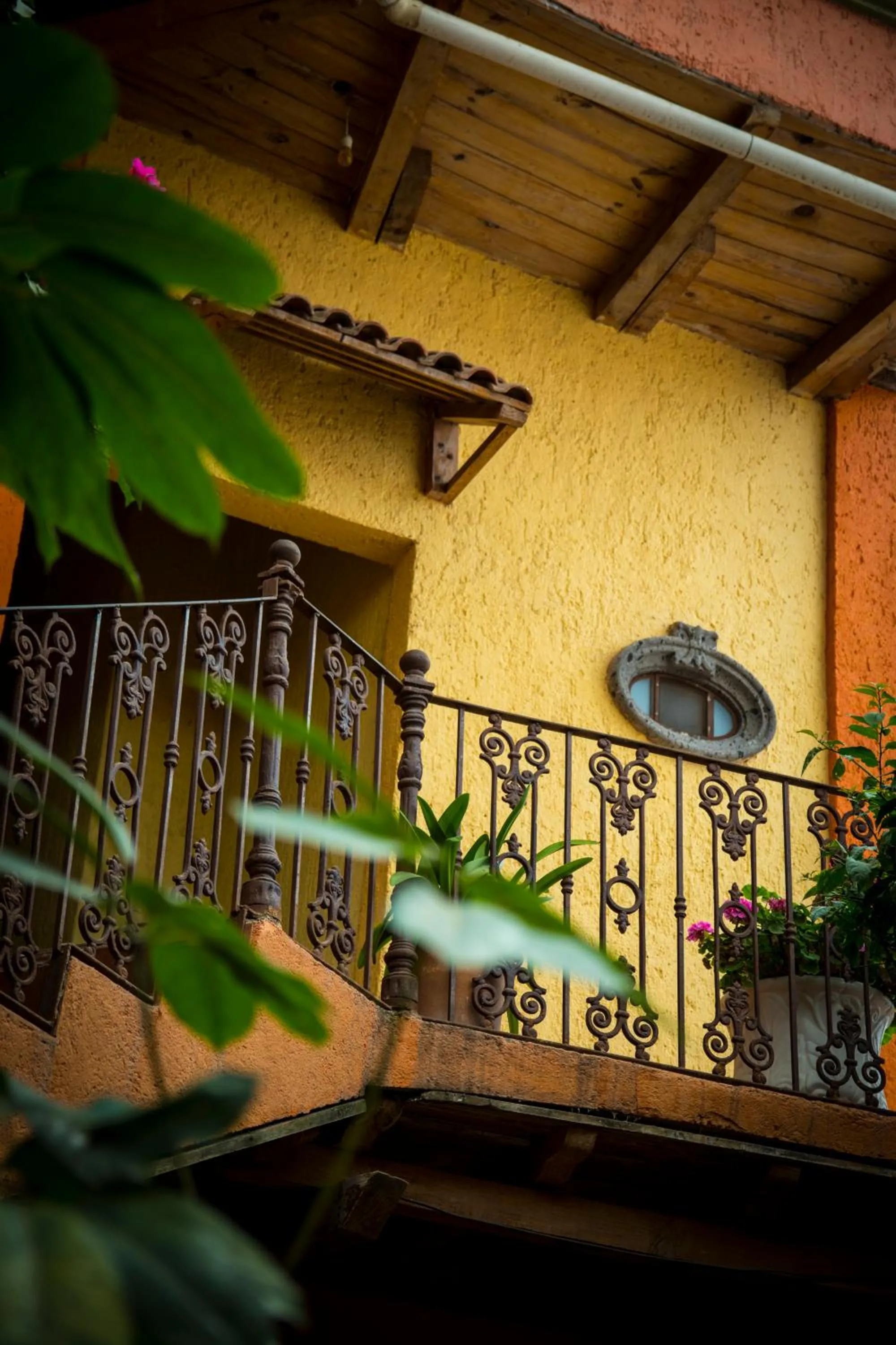 Patio in Hotel CasaMia