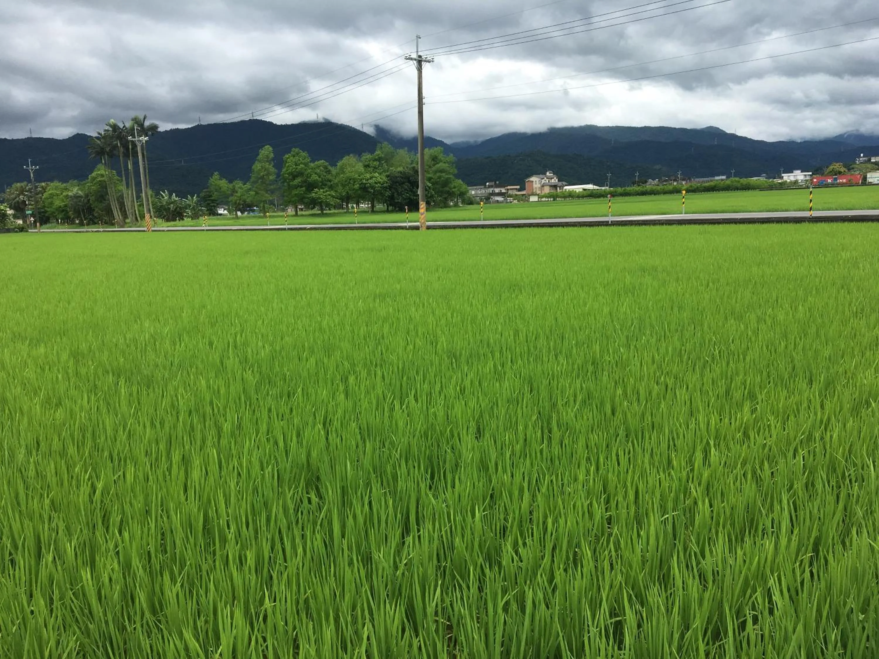 Day in Yilan Real Fun Homestay