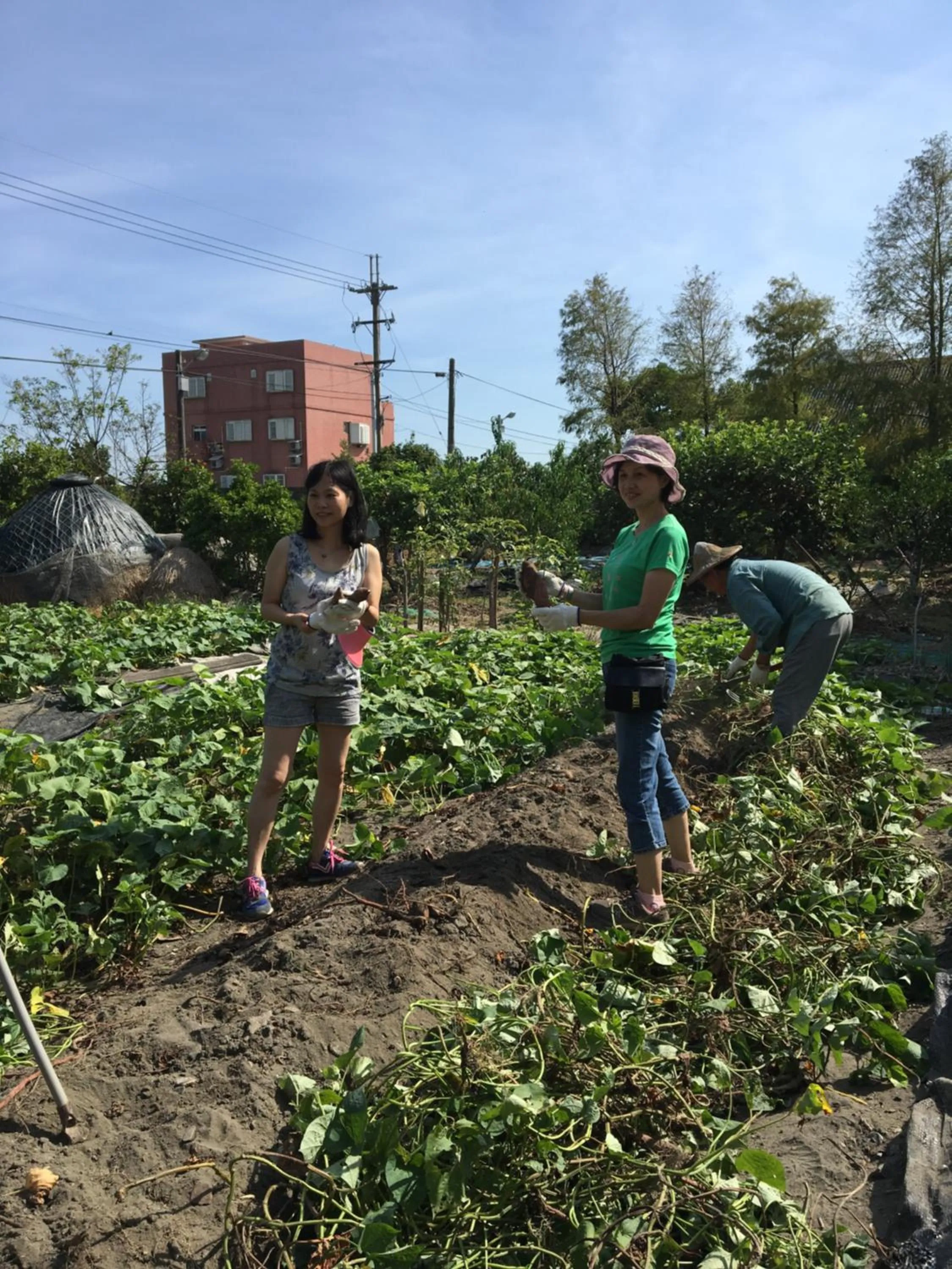 Other in Yilan Real Fun Homestay