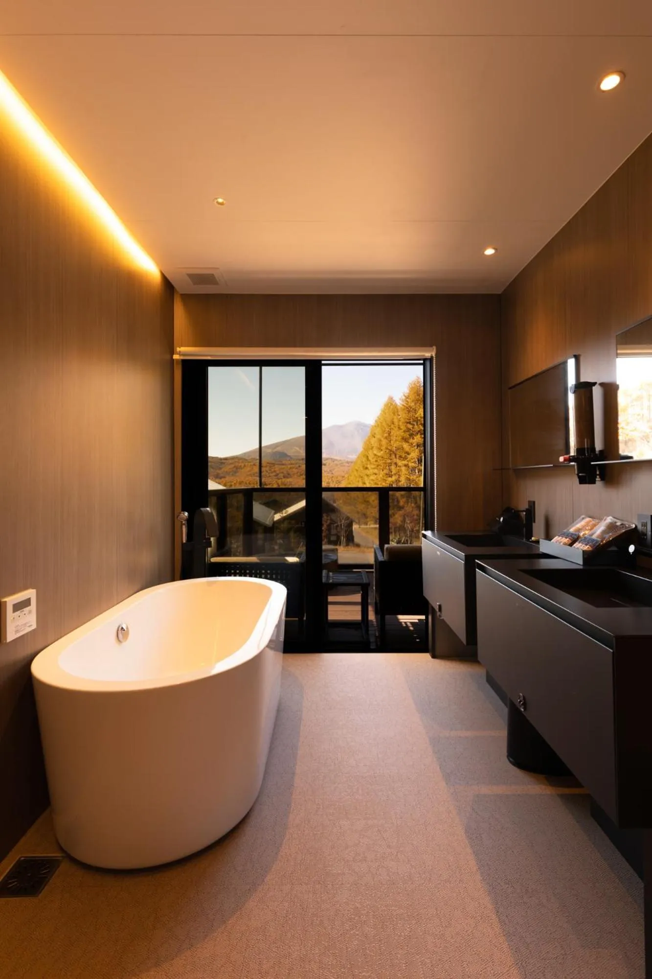 Bathroom in Asama Kuzanbo