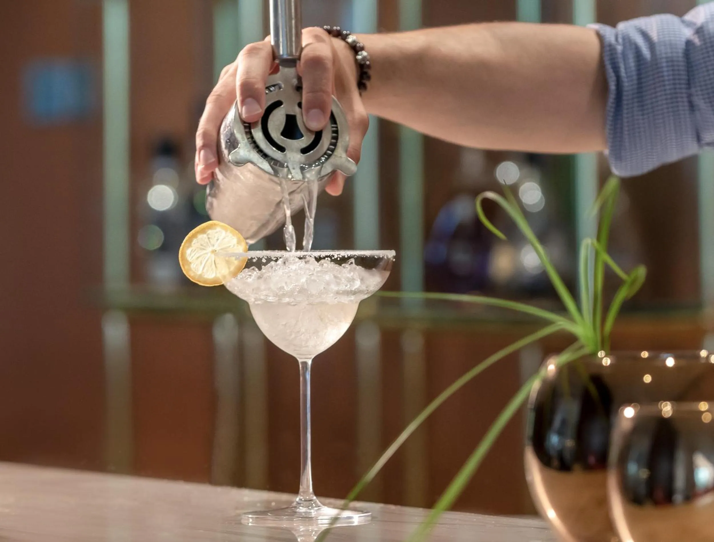 Lounge or bar in Elexus Hotel Resort & Spa & Casino