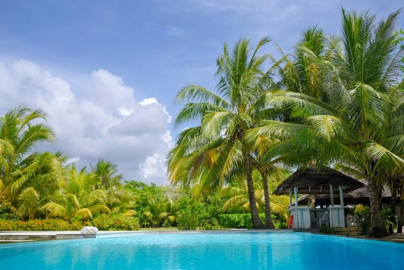 Swimming pool in Trikora Beach Club and Resort