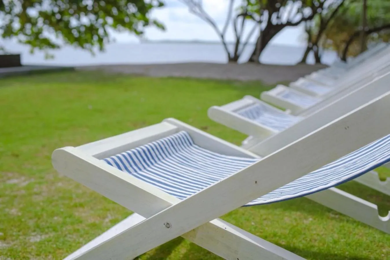 sunbed in Trikora Beach Club and Resort