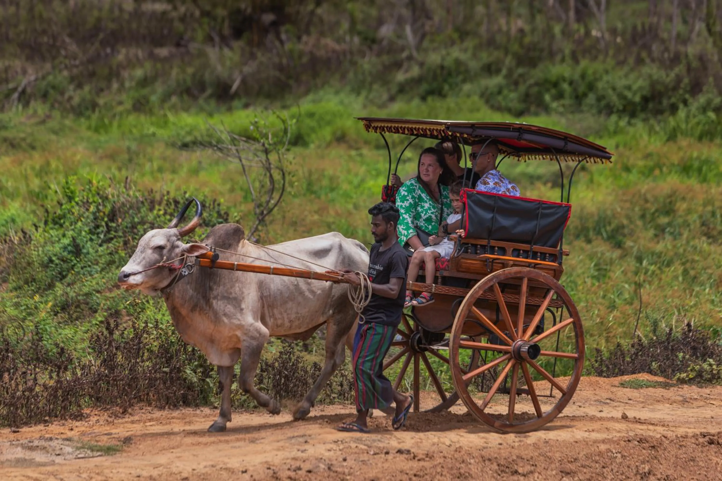 Activities in Bolagala Agro Floating Resort