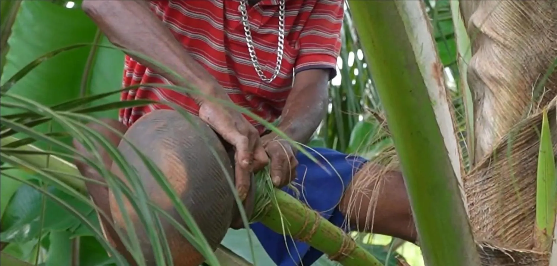 Property building in Bolagala Agro Floating Resort