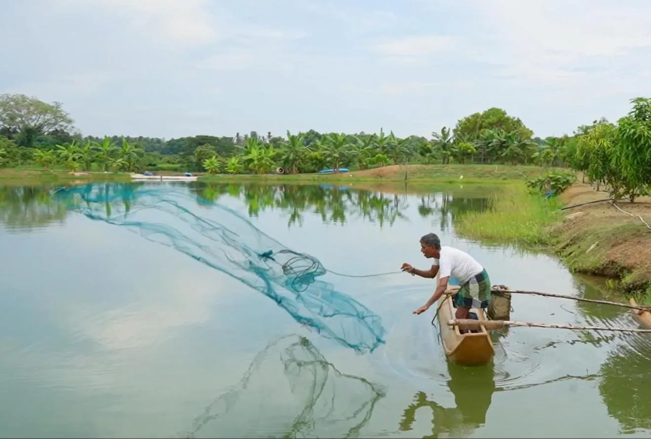 Property building in Bolagala Agro Floating Resort