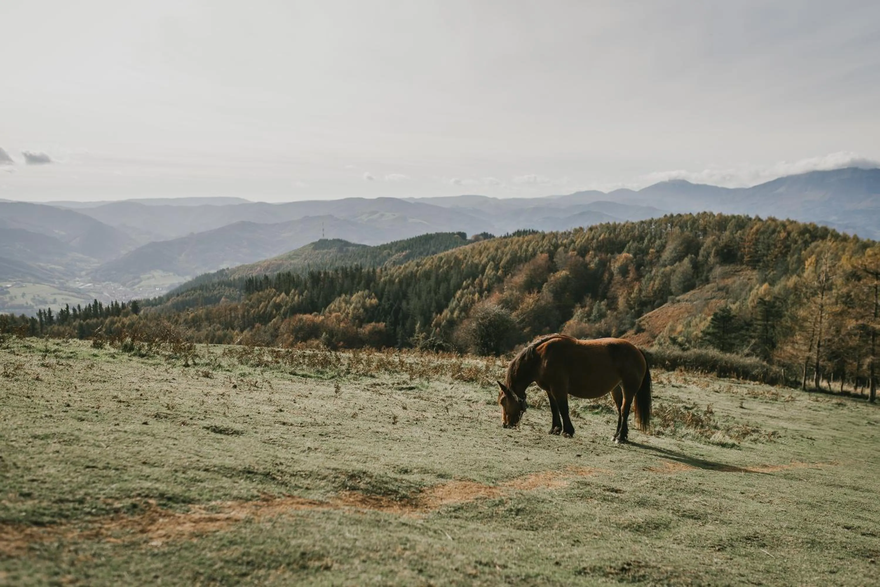 Hiking in HOTEL ORDIZIA