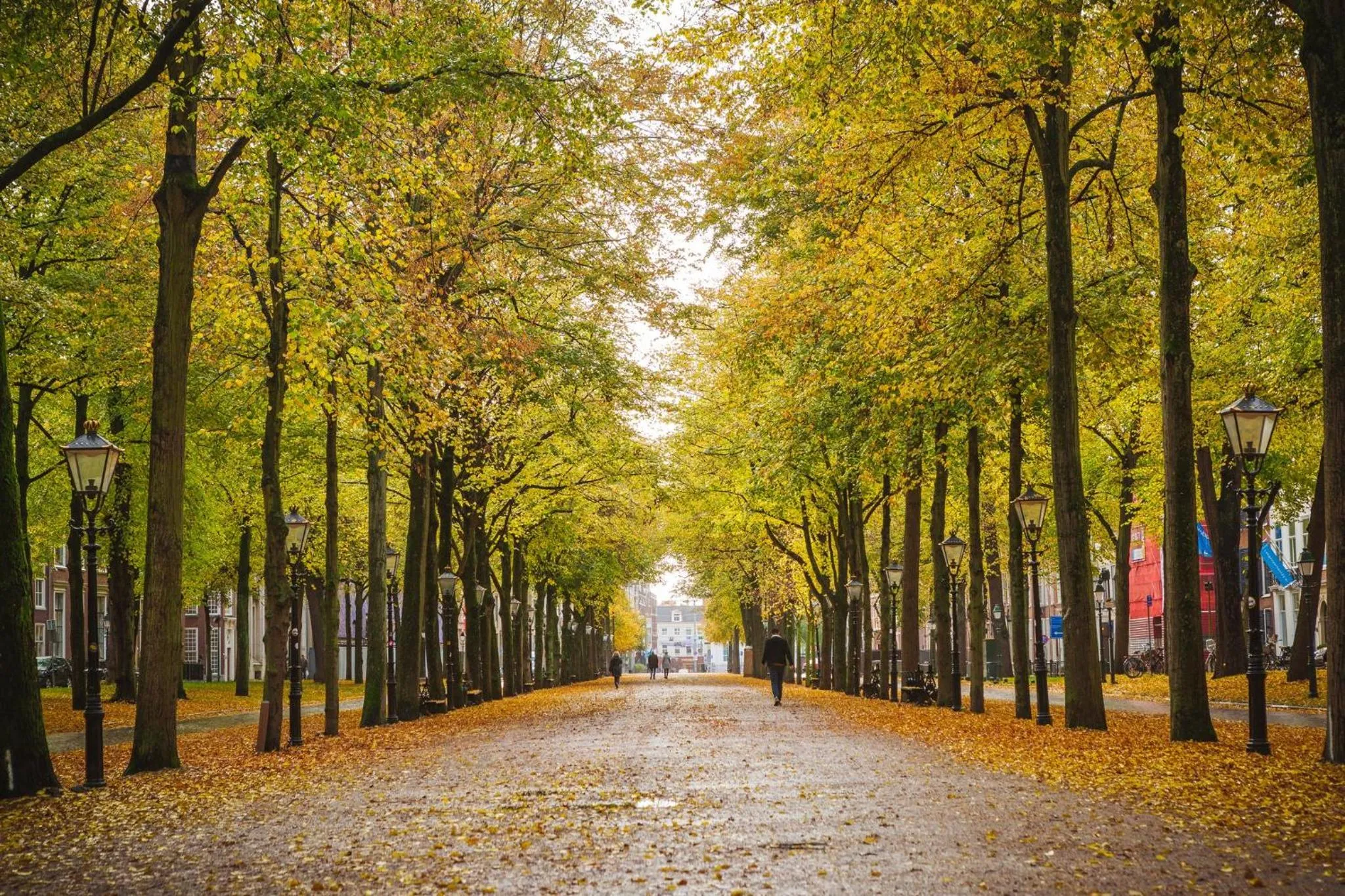 Nearby landmark in voco The Hague by IHG