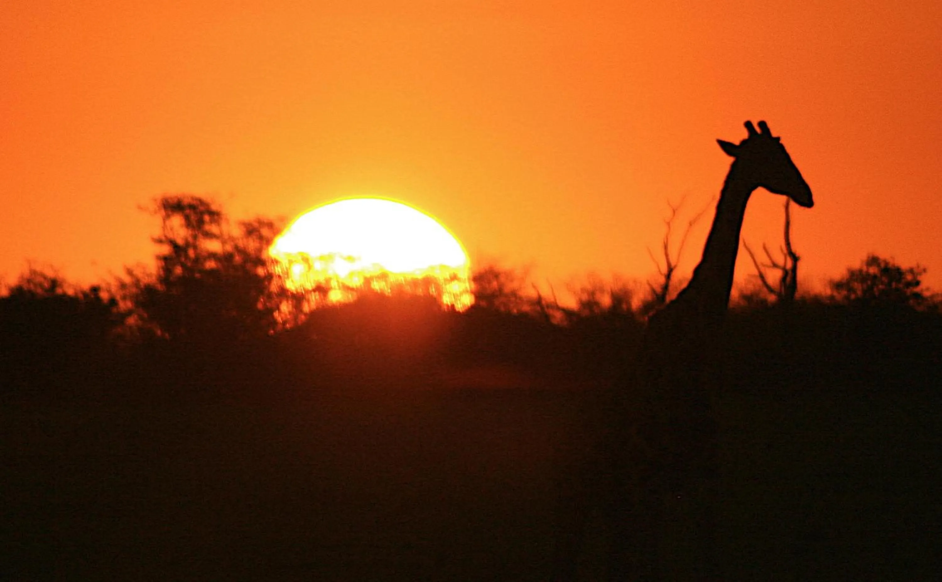 Other in The Old House