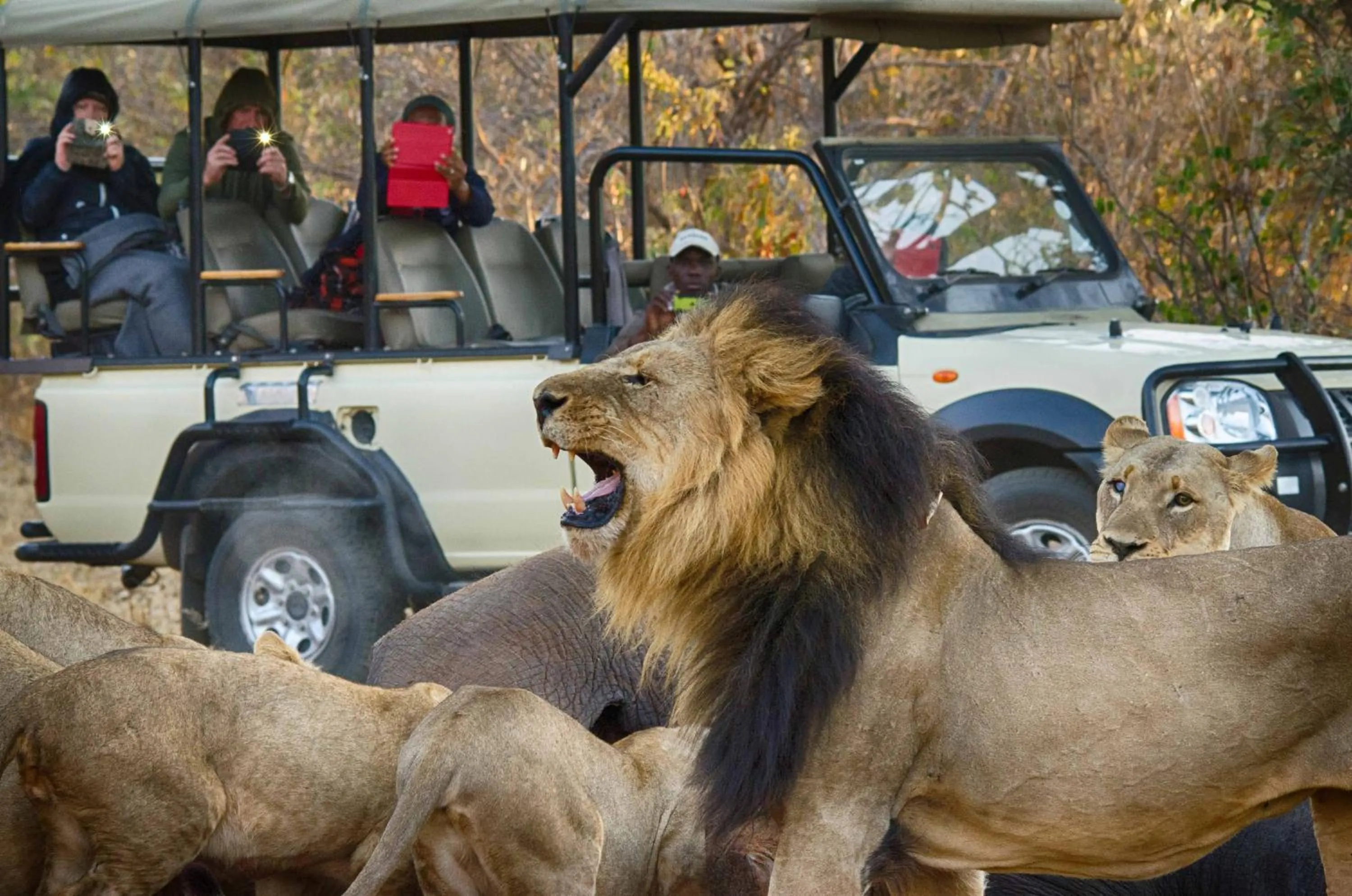 Activities in The Old House