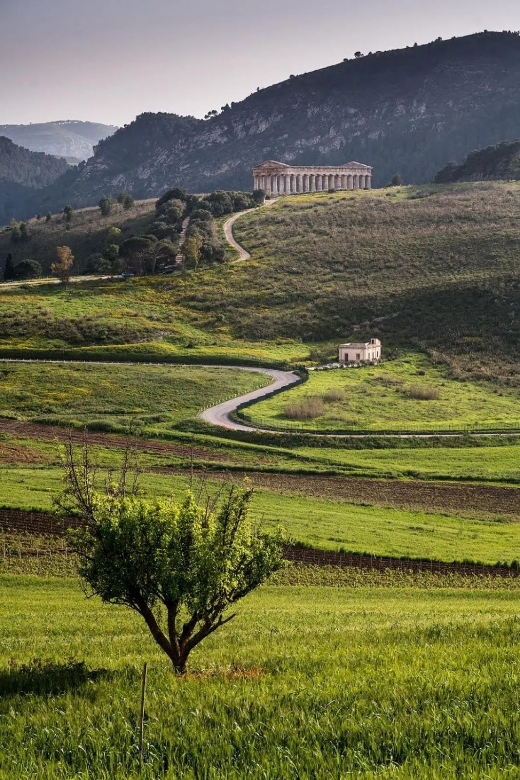 Mountain view in Helimos Bed&Breakfast Segesta Temple-Castellammare