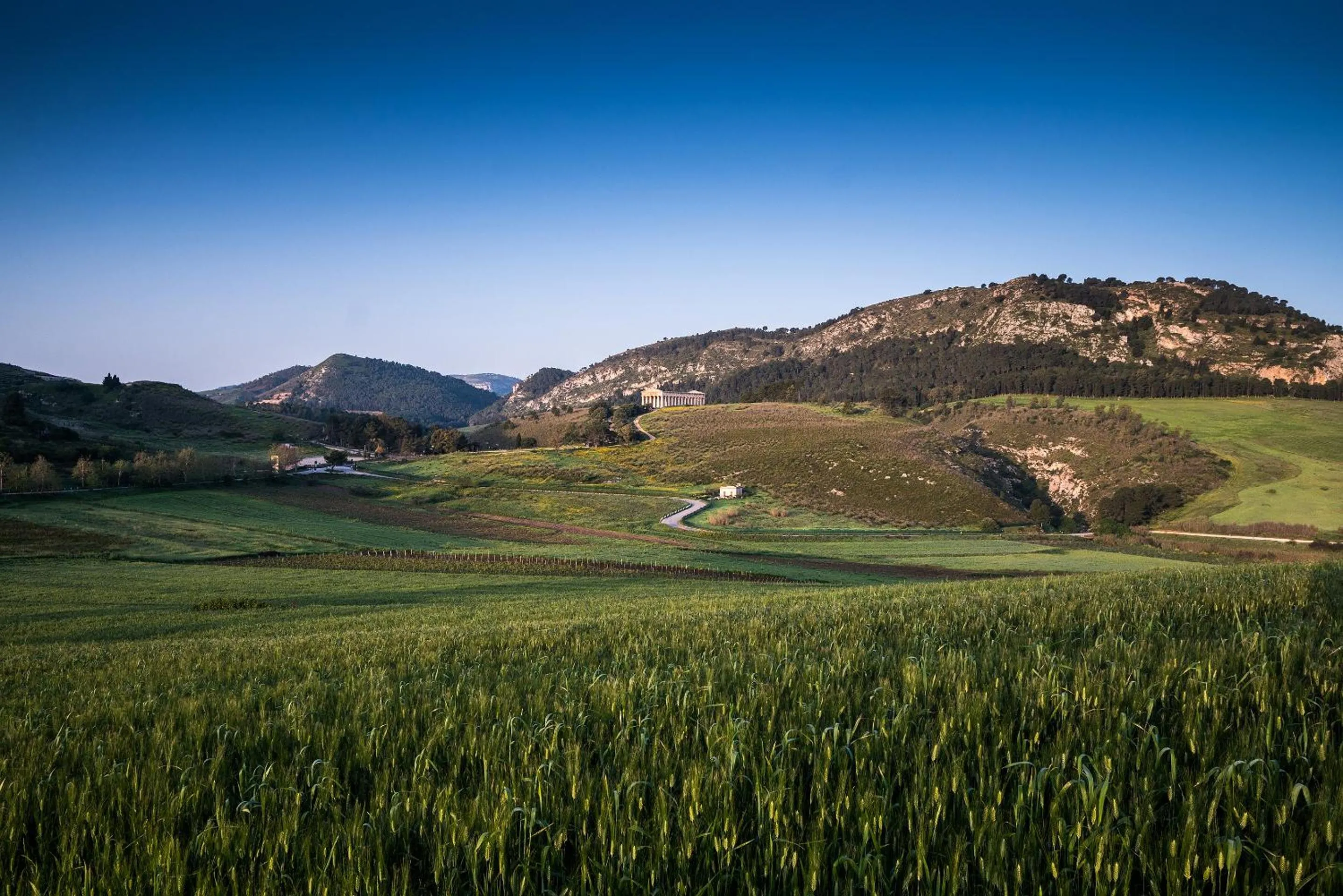 Natural landscape in Helimos Bed&Breakfast Segesta Temple-Castellammare