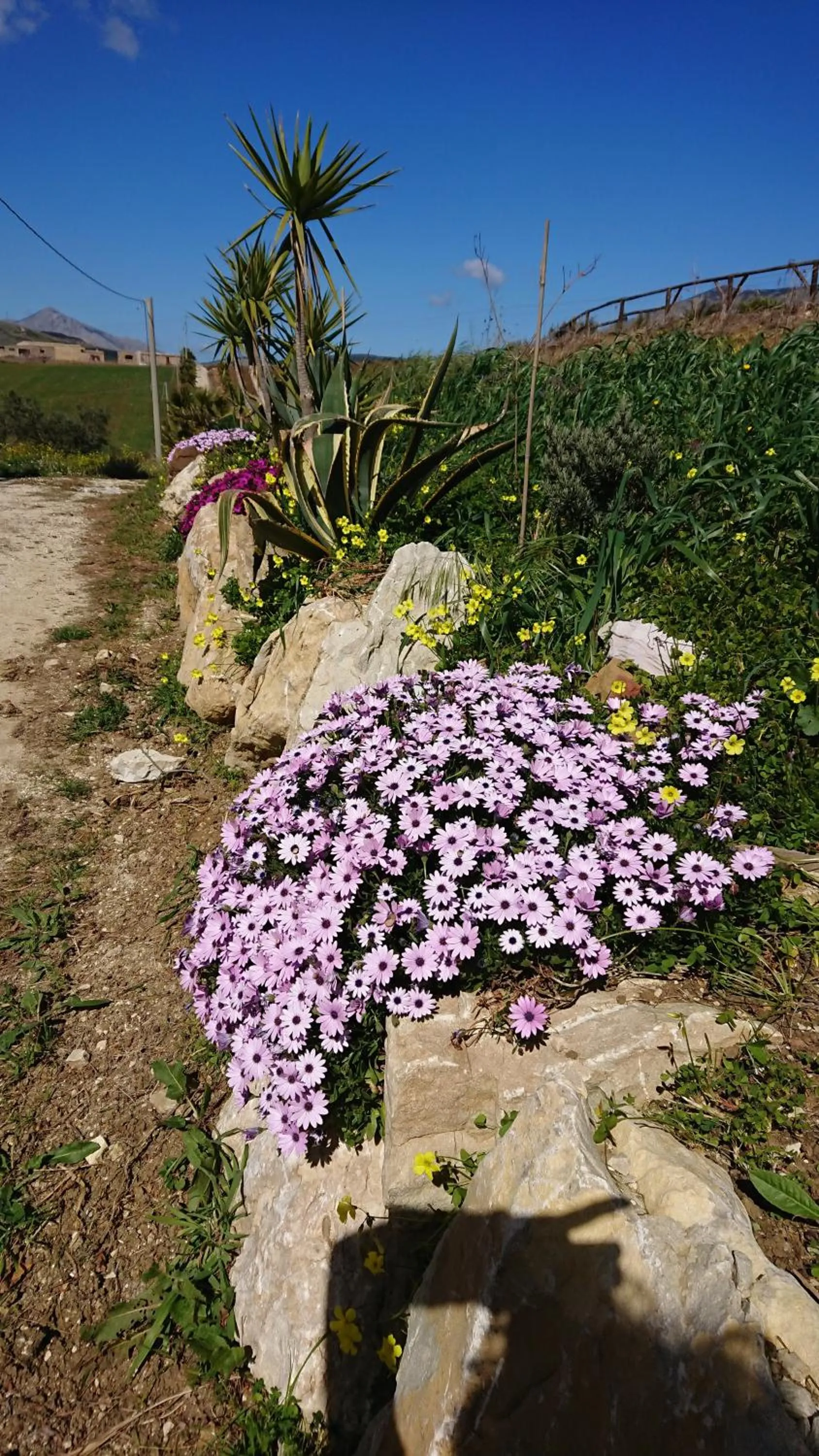 Spring in Helimos Bed&Breakfast Segesta Temple-Castellammare