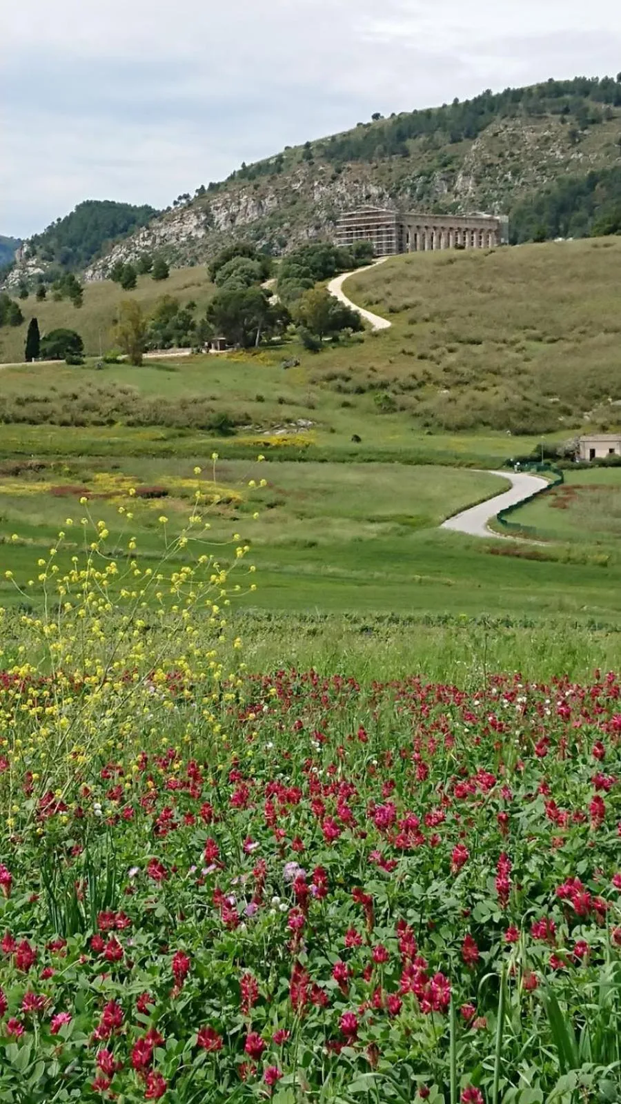Garden view in Helimos Bed&Breakfast Segesta Temple-Castellammare