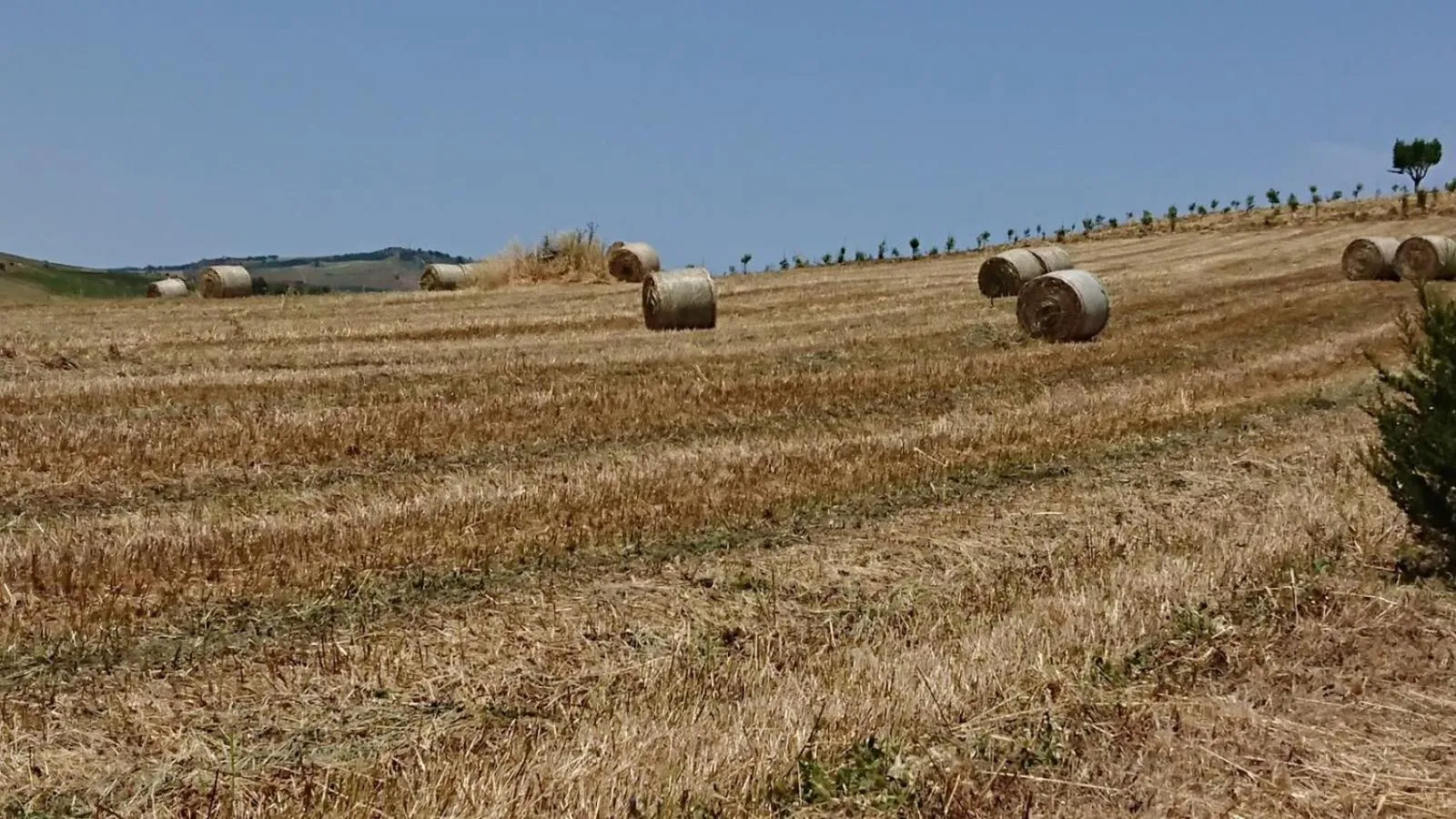 Summer in Helimos Bed&Breakfast Segesta Temple-Castellammare