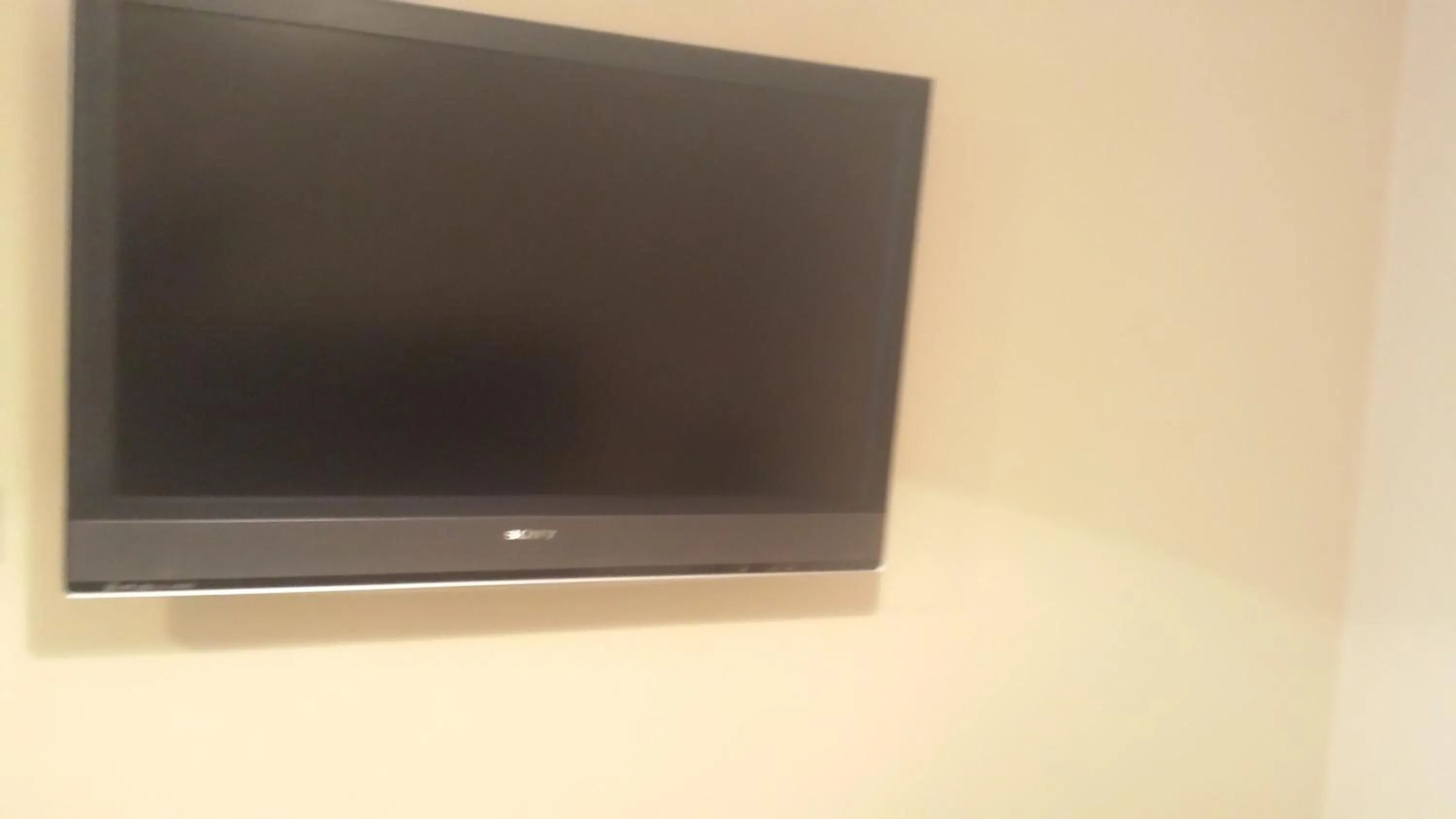 TV and multimedia in Dun Aoibhinn Guest Accommodation