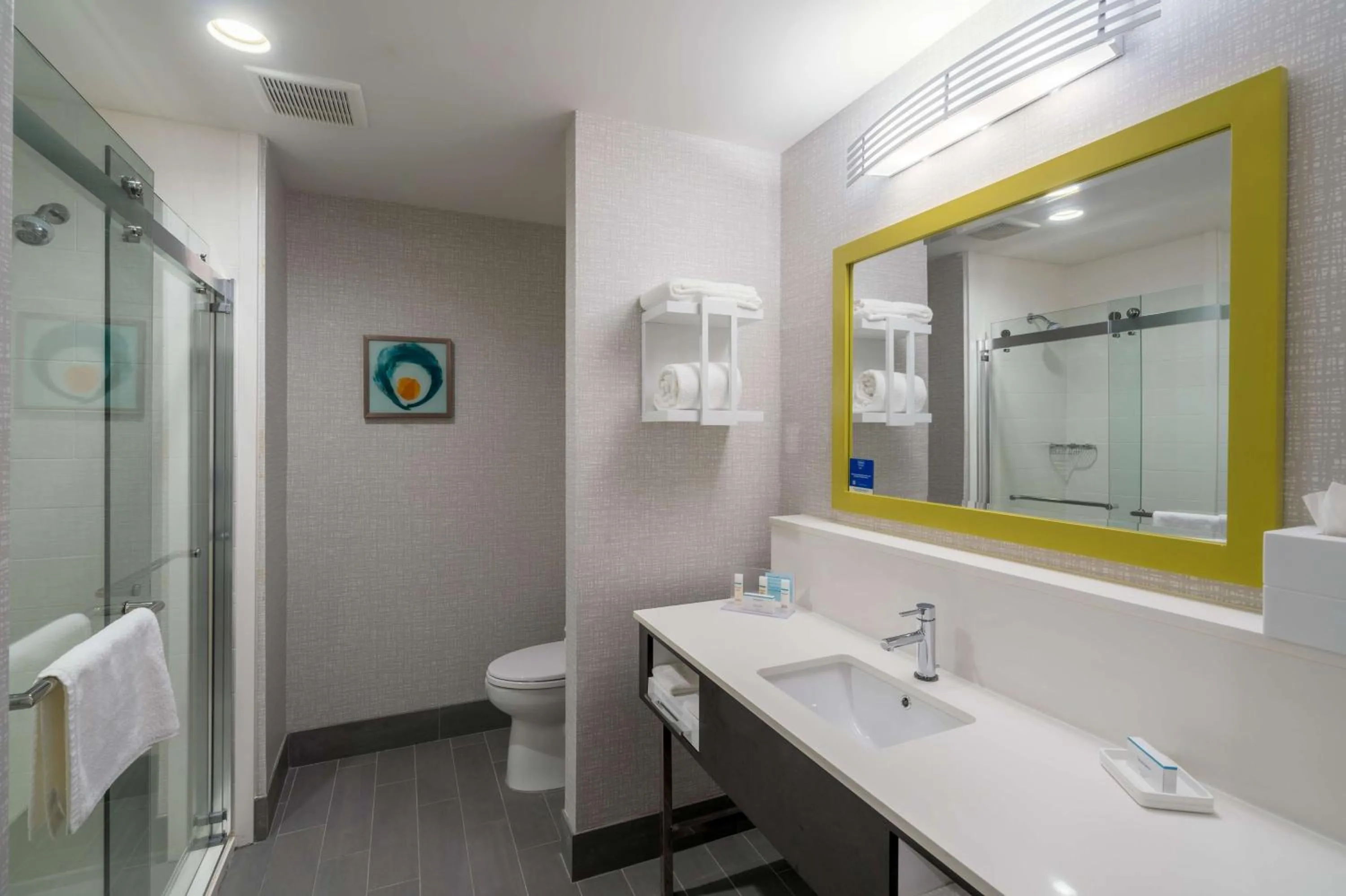 Bathroom in Hampton Inn By Hilton Hardeeville, SC