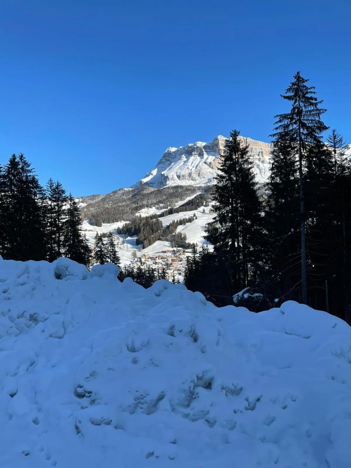 Winter in ALBERGO BAR RISTORANTE DOLOMIA