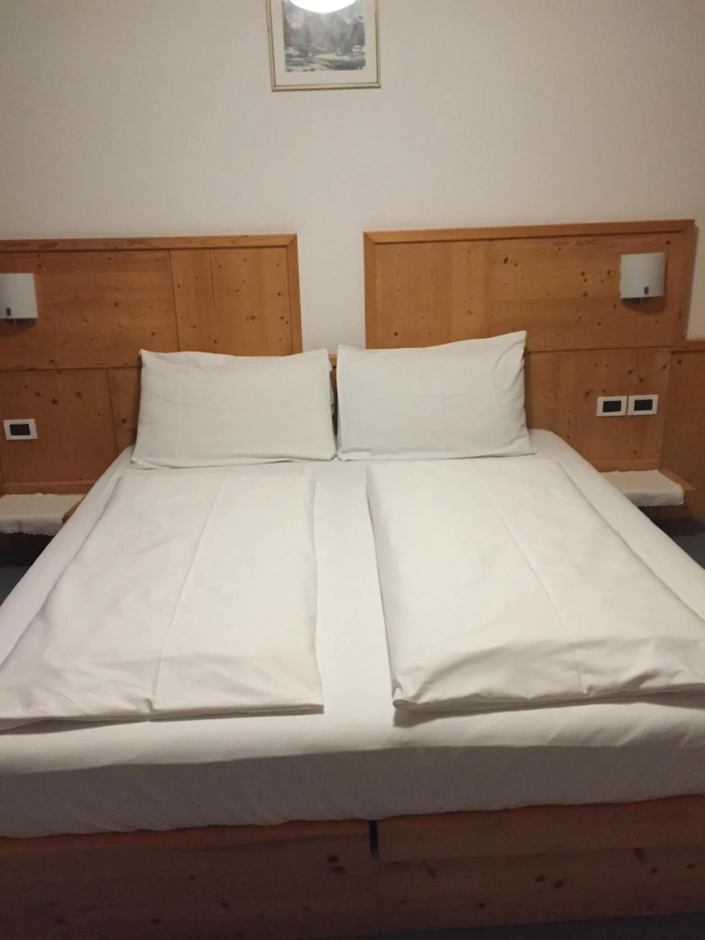 Bed in ALBERGO BAR RISTORANTE DOLOMIA