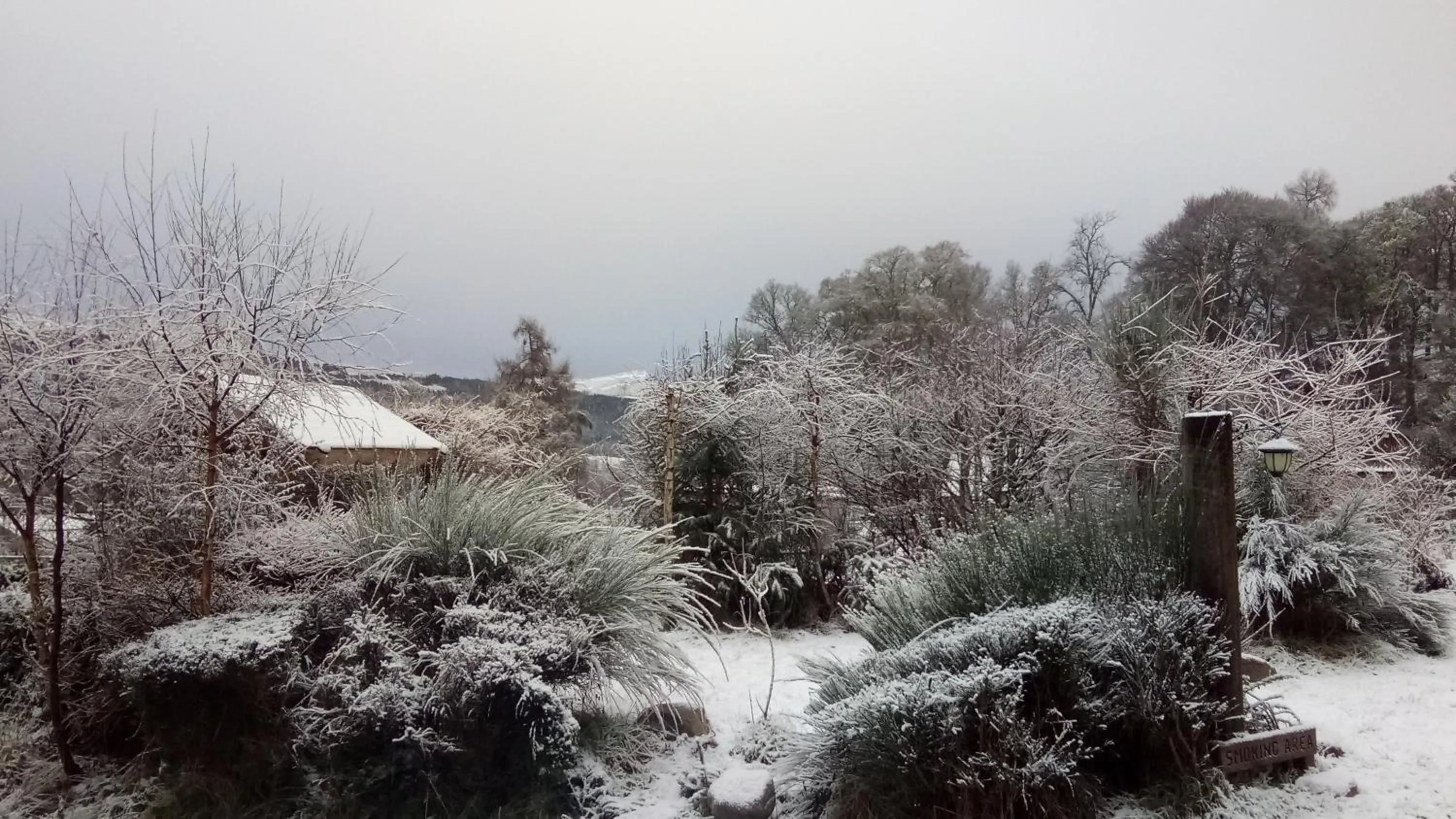 Garden view in The Steading Highland Glen Lodge