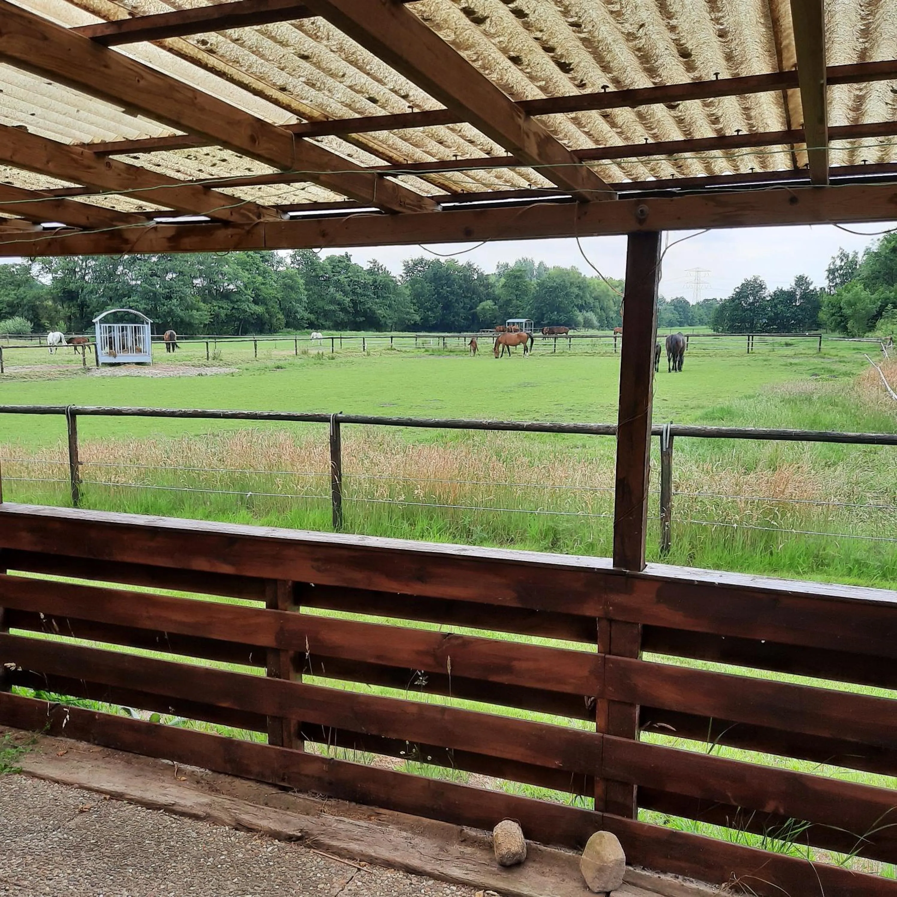 Unieke vriendenkamer met bedstedes tot 11 personen en 2 rustig gelegen chalets 2 en 4 persoons te huur!