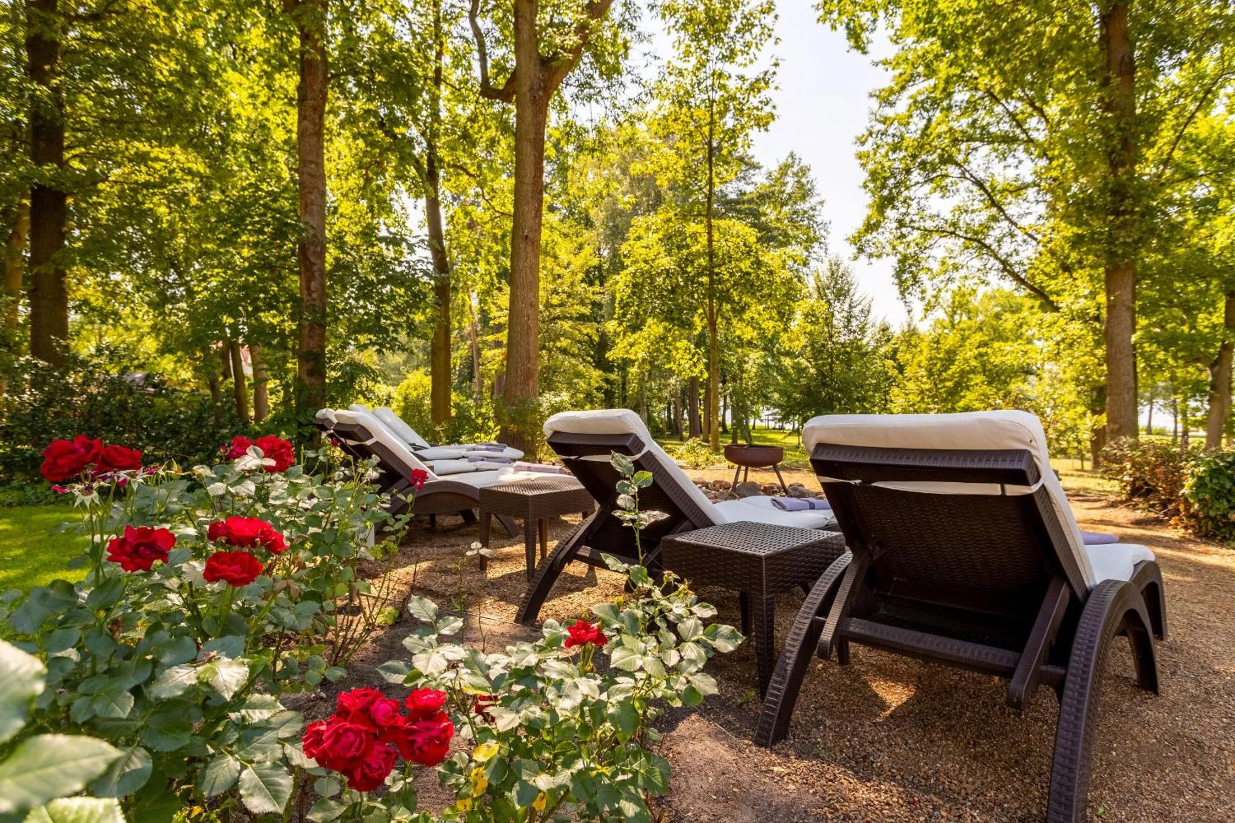 Garden in Victoria Suites