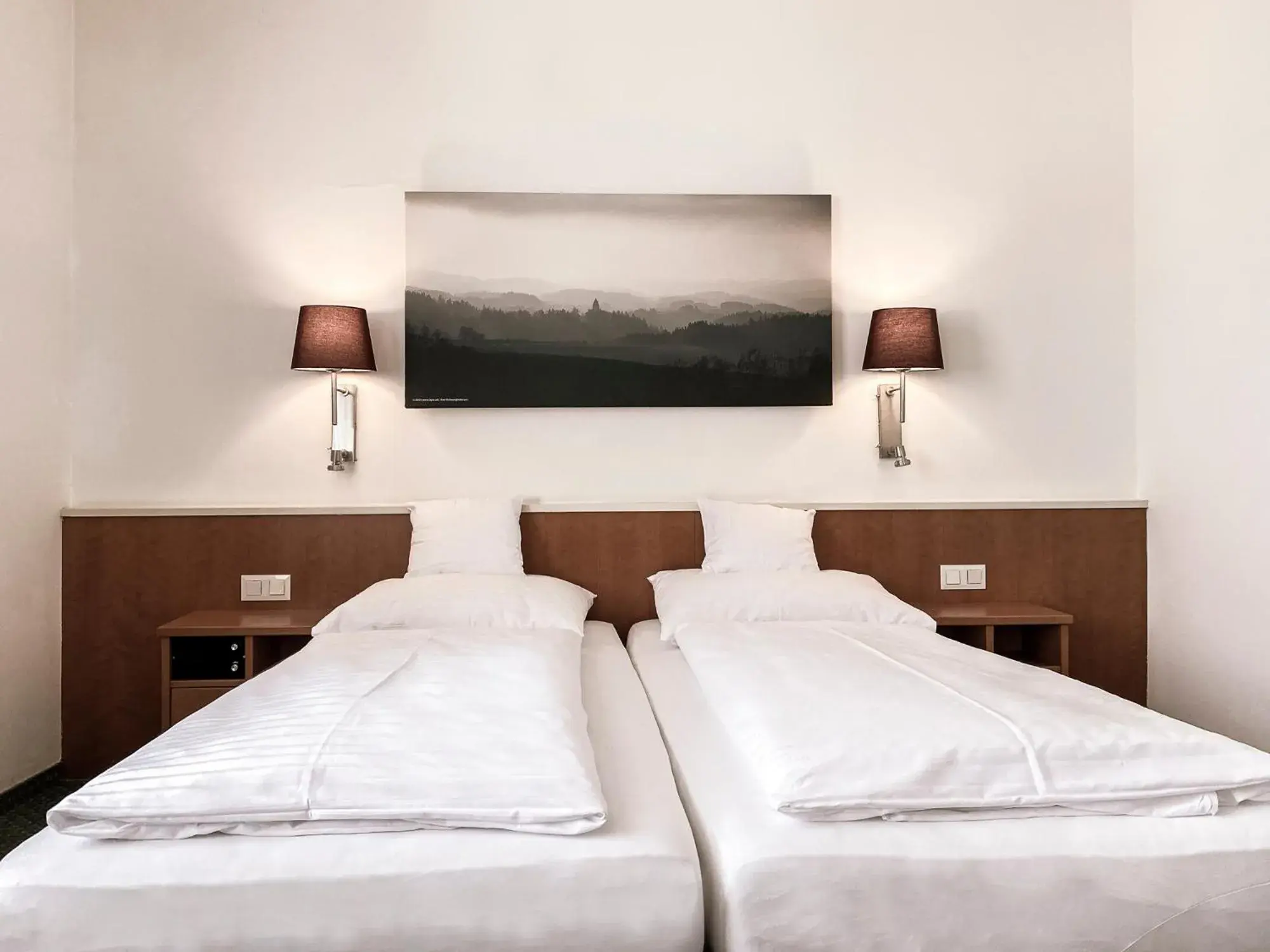 Budget Double Room in Faulenzerhotel Budget Double Room in Faulenzerhotel