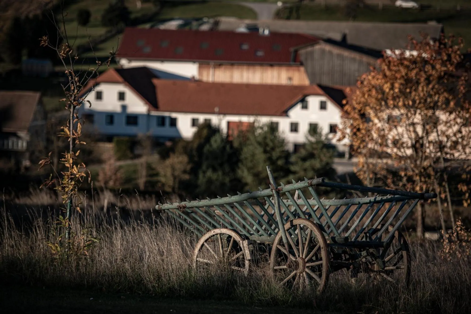 Staff in Faulenzerhotel