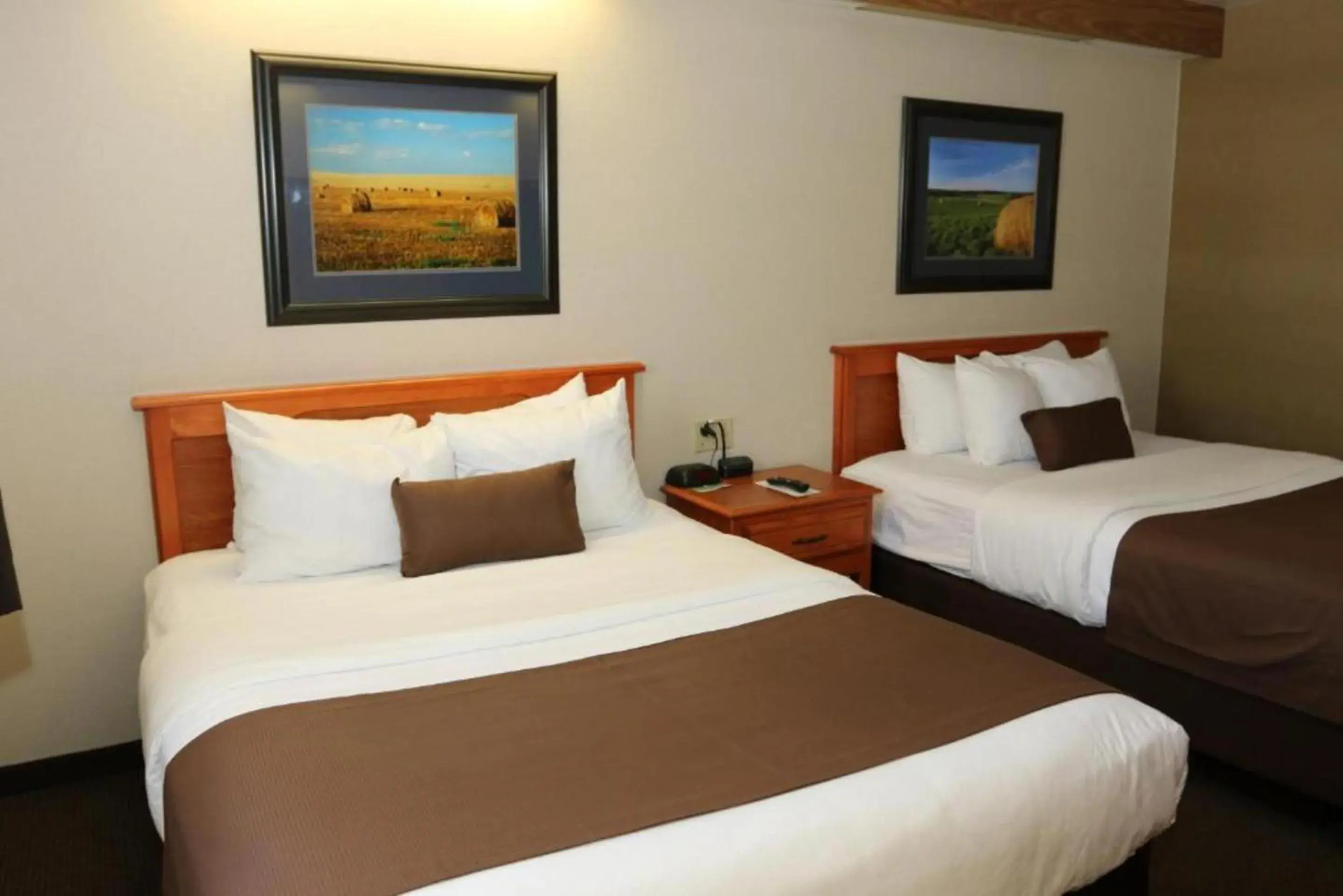 Bedroom, Bed in Studio 6 - Minot, ND Bedroom, Bed in Studio 6 - Minot, ND