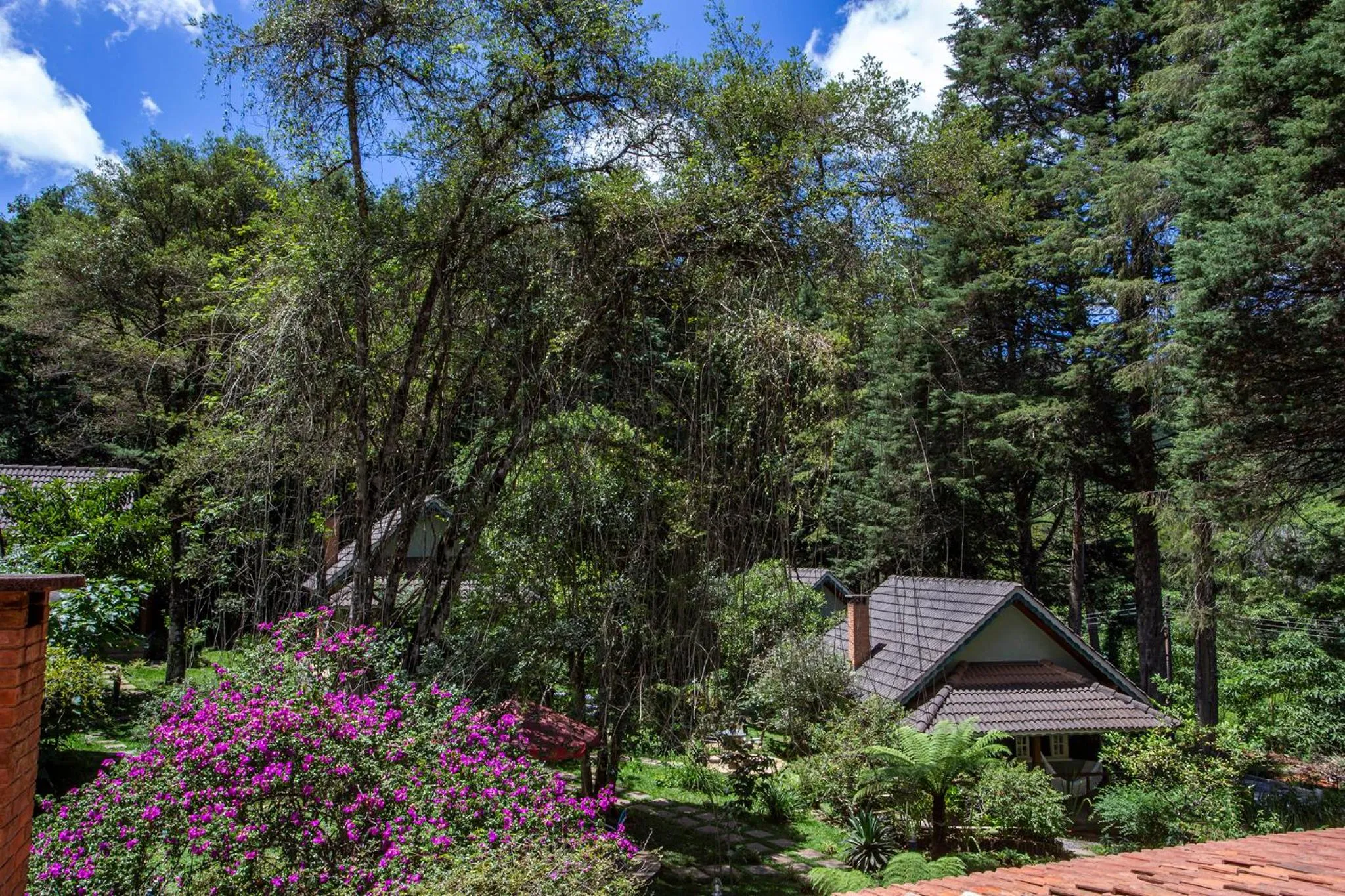 Garden view in Pousada Suiça Mineira Garden