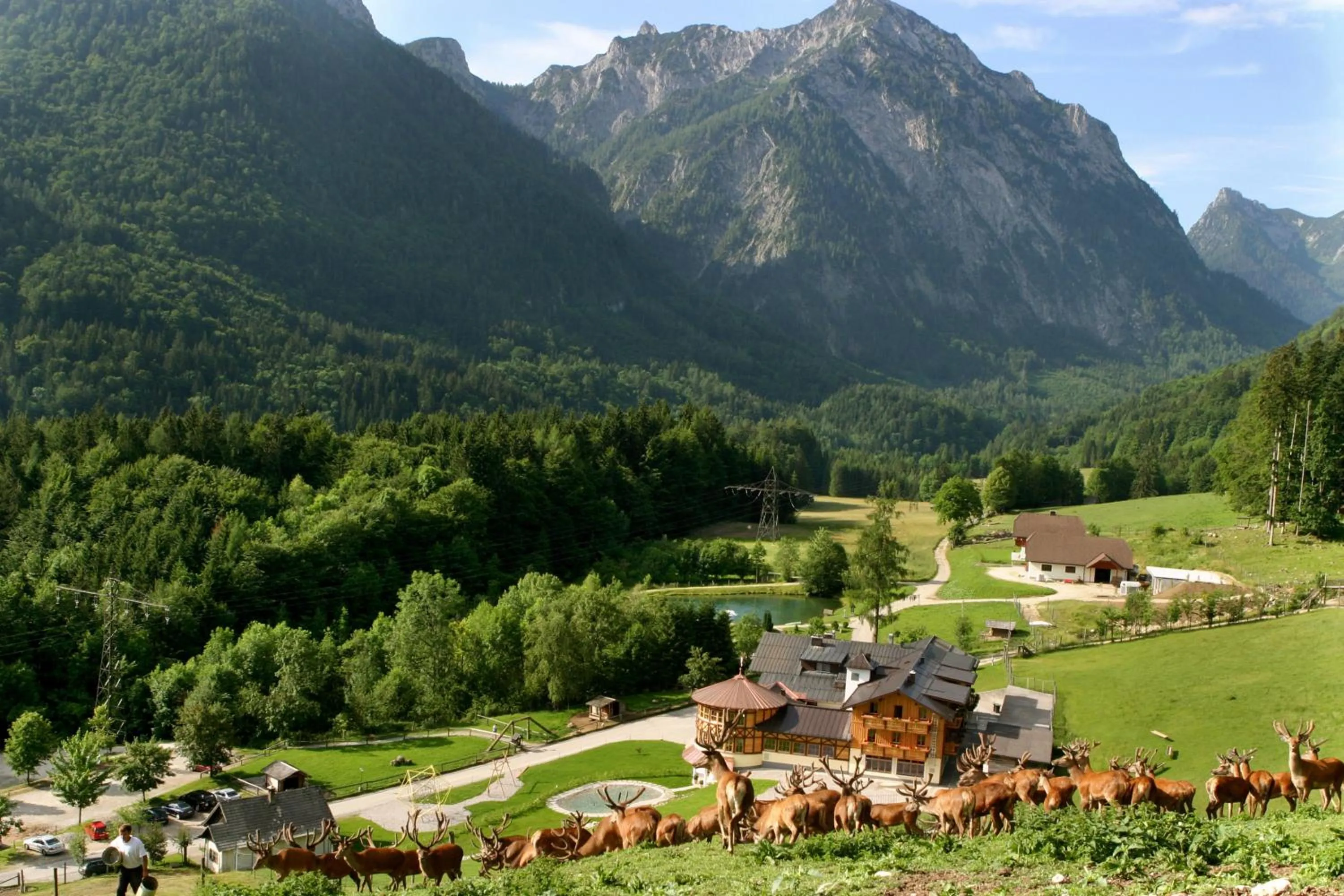 Area and facilities in Hotel Stroblerhof