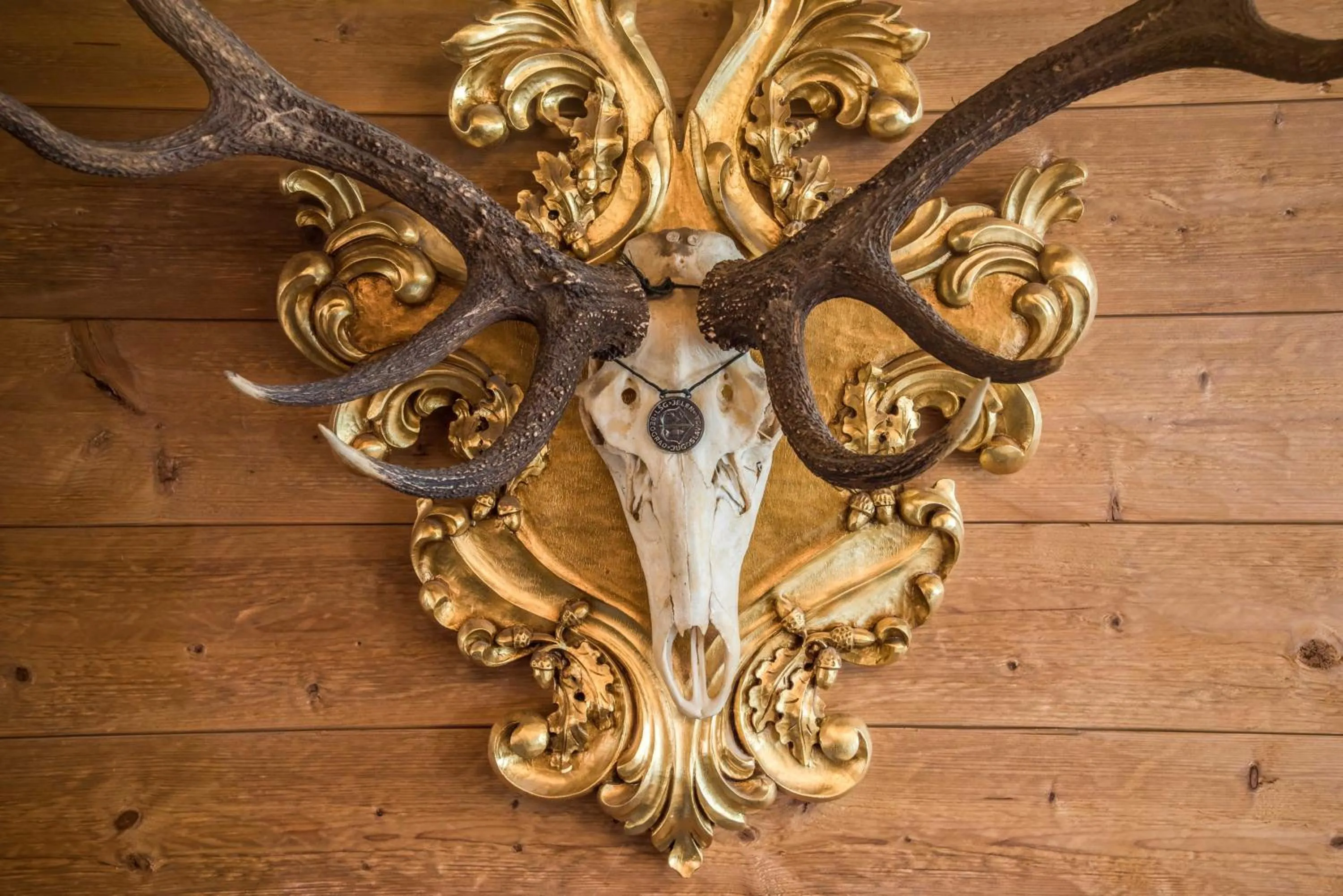 Decorative detail in Hotel am Schlosspark