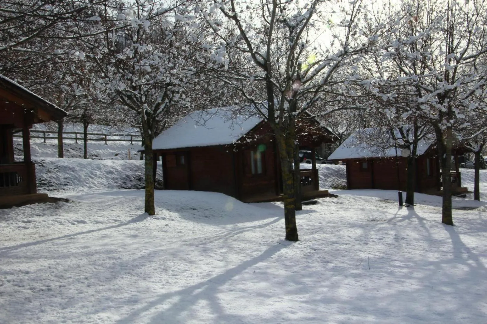 Other in Hotel, Bungalows y Camping Viu