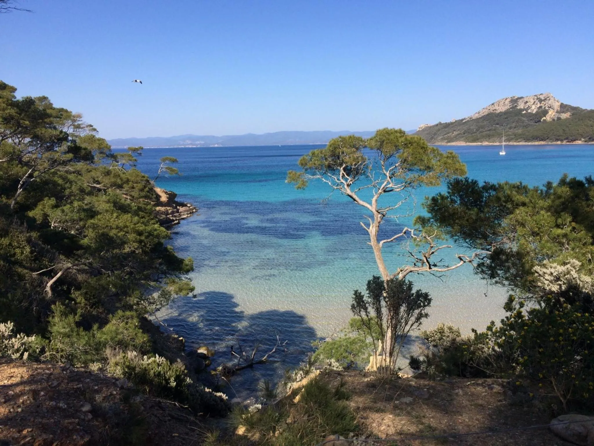 La Petite Bergerie, Les Hautes Roches